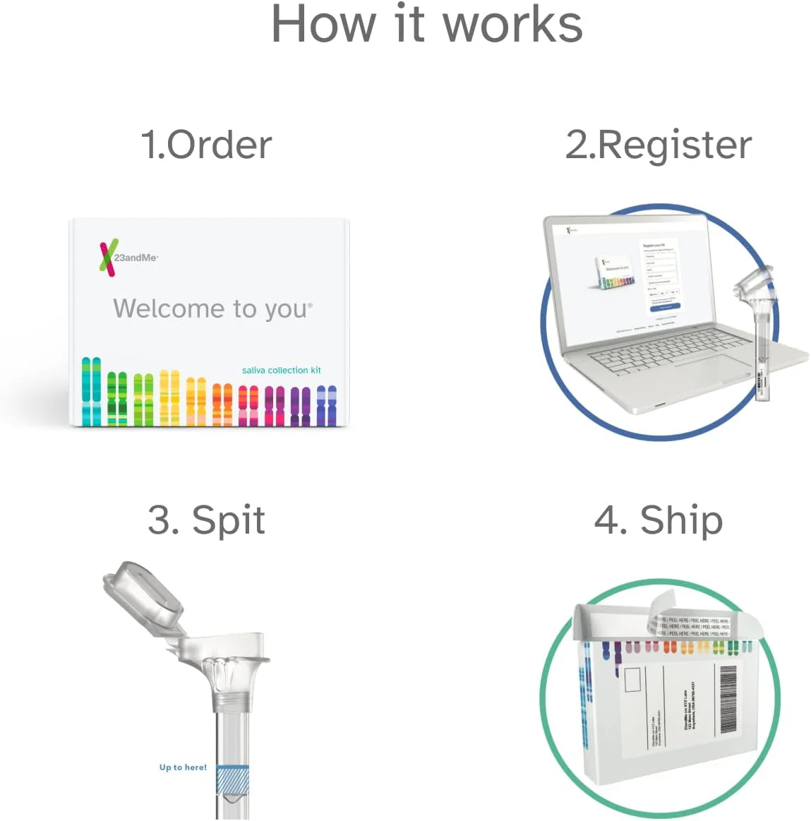23andMe Ancestry Service - DNA Test Kit with Personalized Genetic Reports Including Ancestry Composition with 3500+ Geographic Regions, Family Tree, DNA Relative Finder and Trait Reports - Image 7