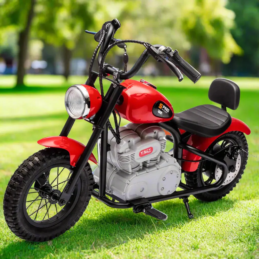 36V Freddo E-Chopper, Leather Seat, Rubber Air Wheels, Brushless Motor - Image 3