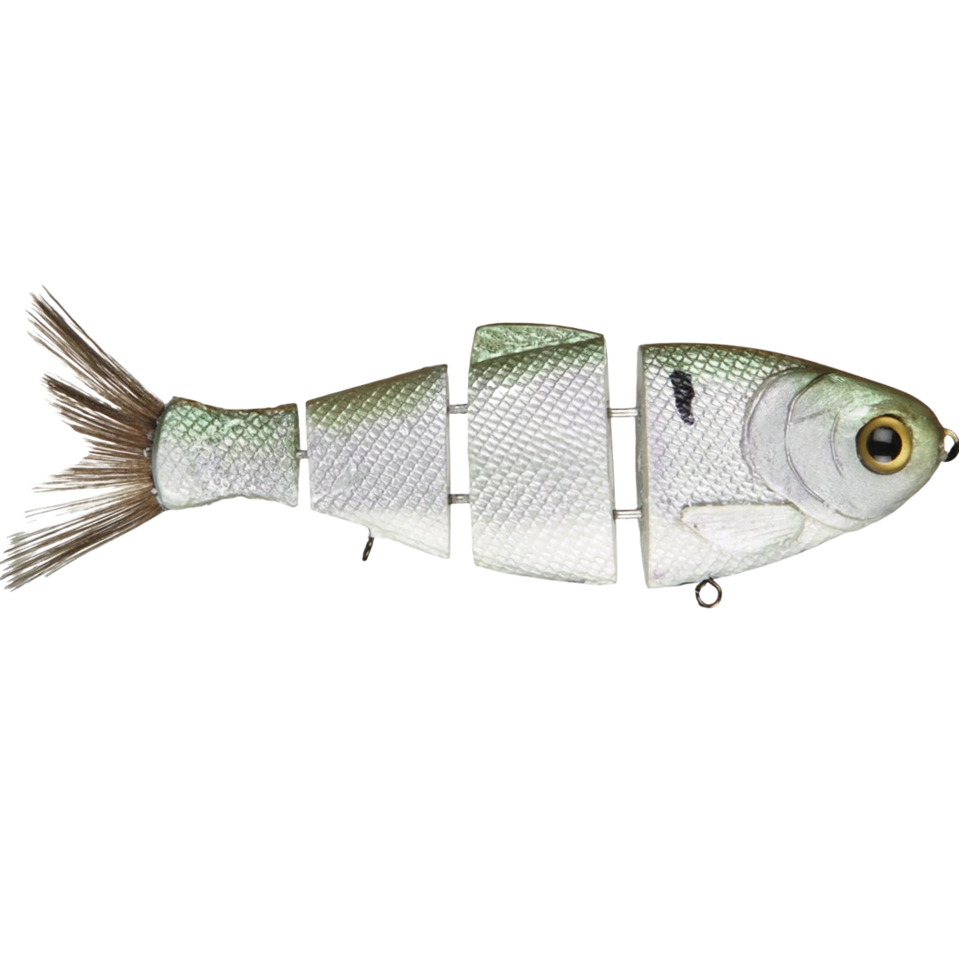 Bull Shad Slow Sink - Image 3