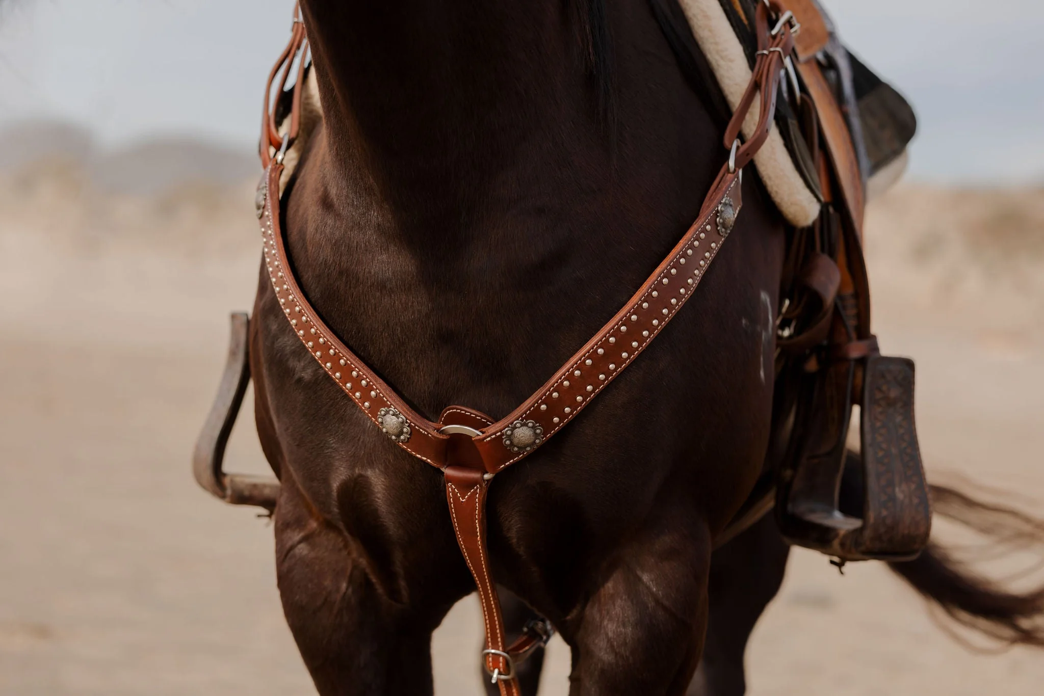 California Dotted Chocolate Harness Breast Collar - Image 2