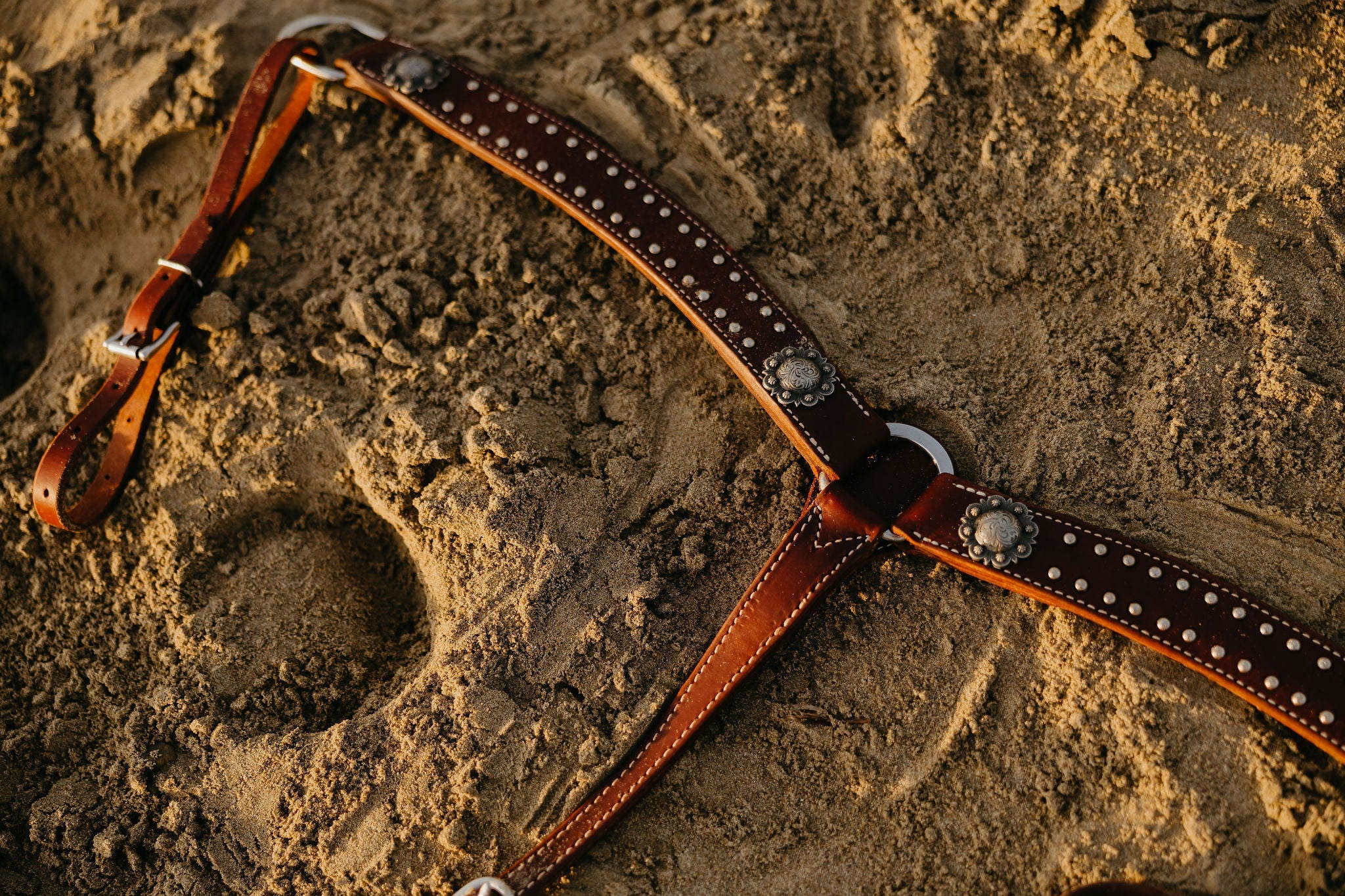 California Dotted Chocolate Harness Breast Collar - Image 3