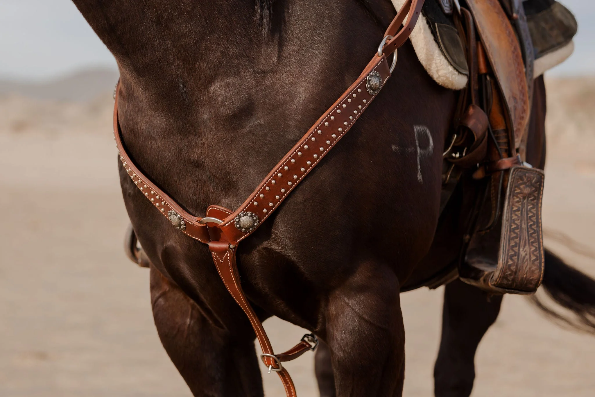 California Dotted Chocolate Harness Breast Collar - Image 4