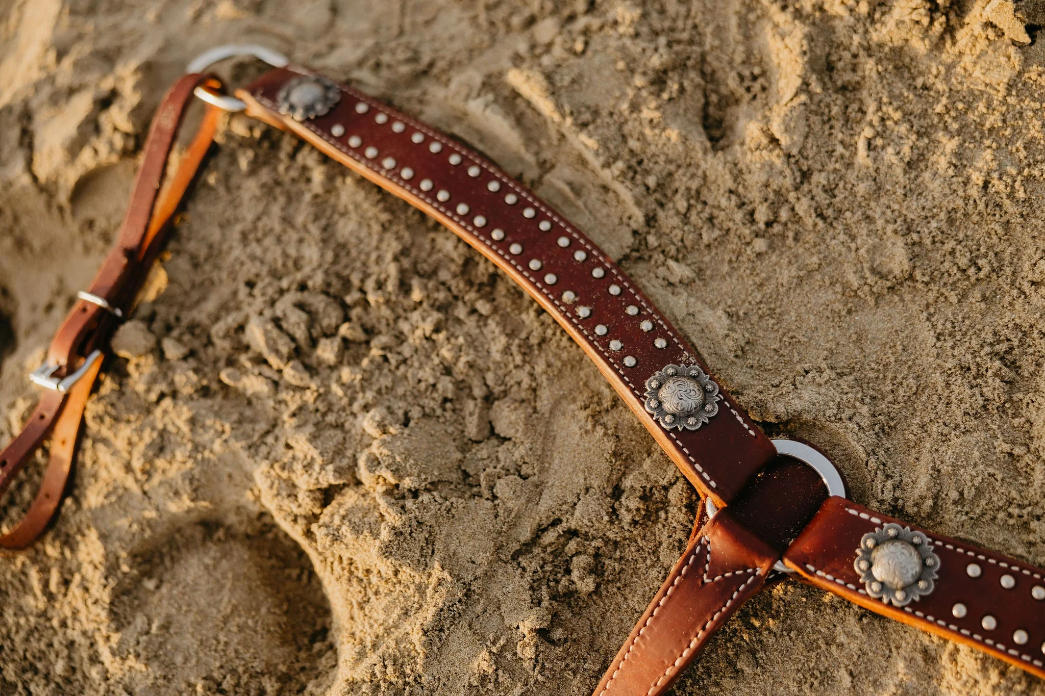 California Dotted Chocolate Harness Breast Collar - Image 5