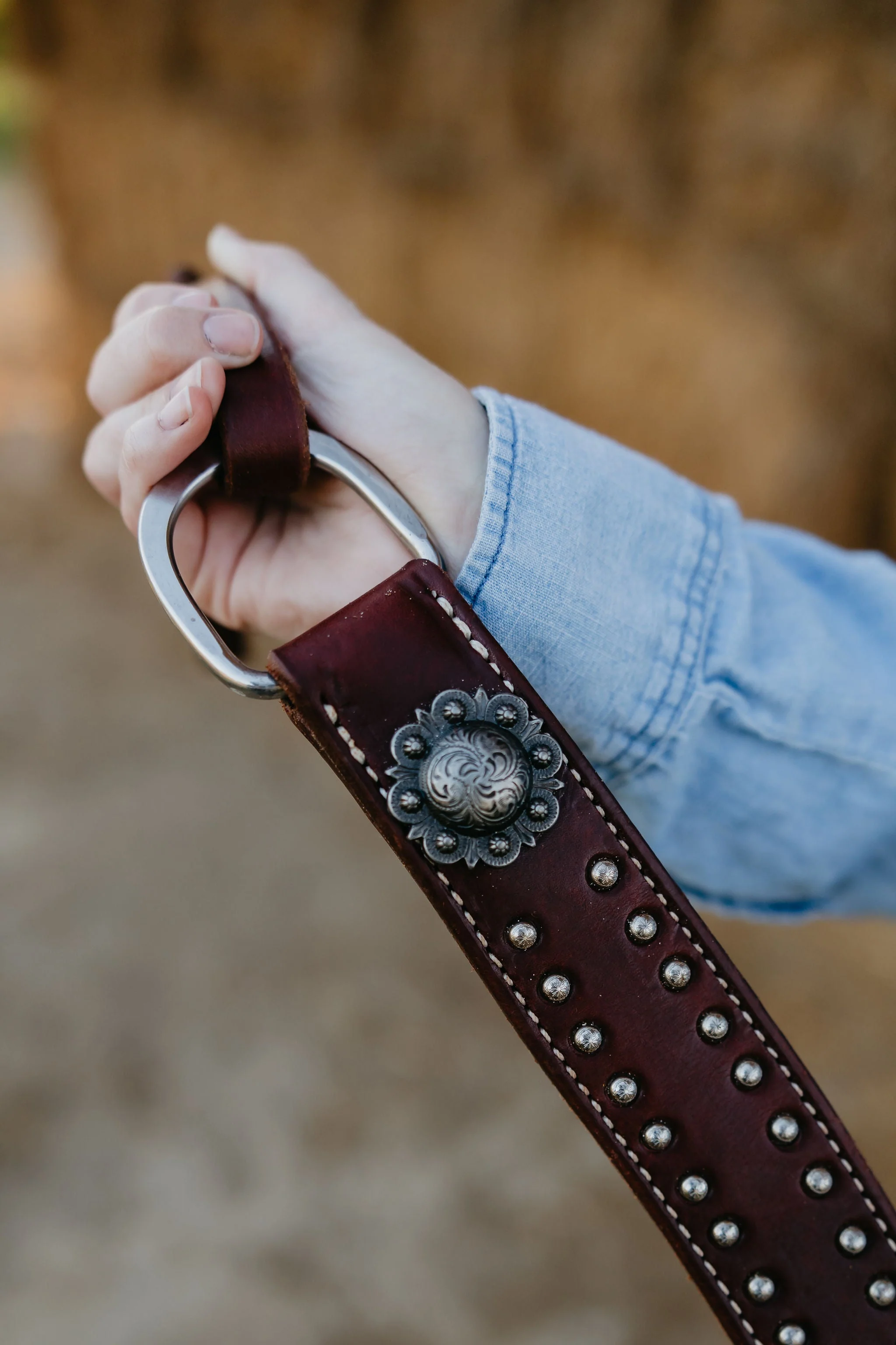 California Dotted Chocolate Harness Breast Collar - Image 8