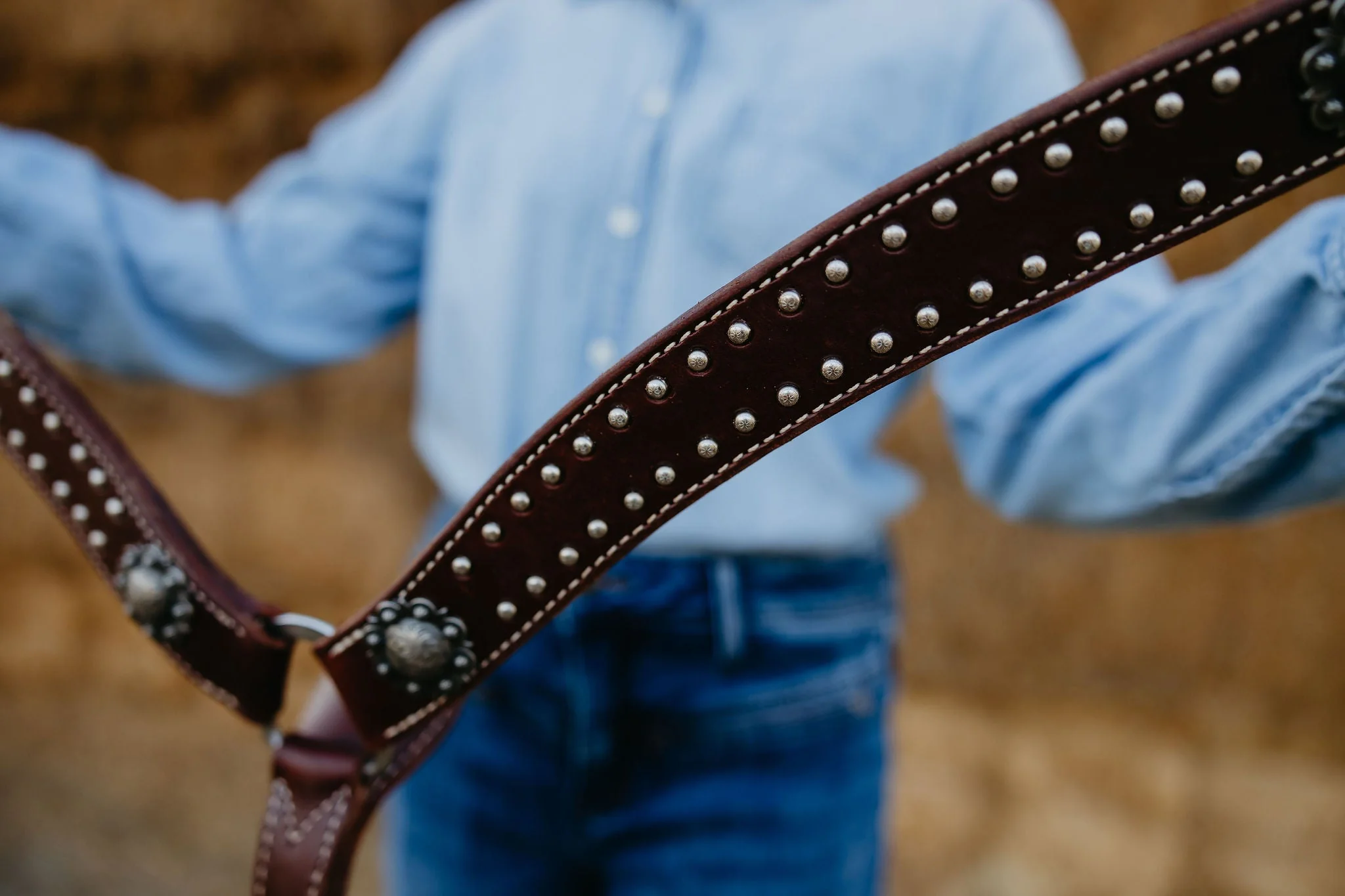 California Dotted Chocolate Harness Breast Collar - Image 9