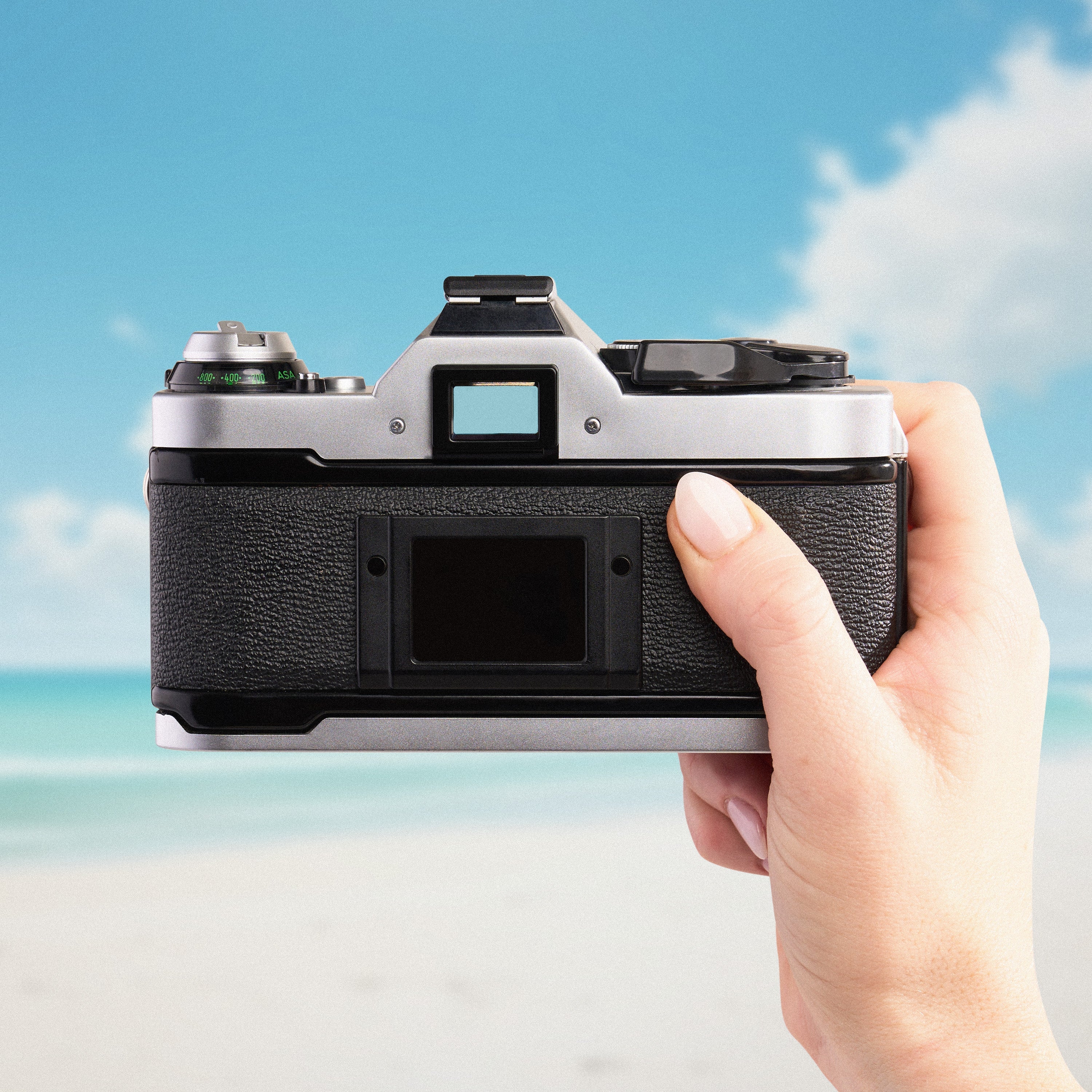 Canon AE-1 Program | 35mm Film Camera - Image 3