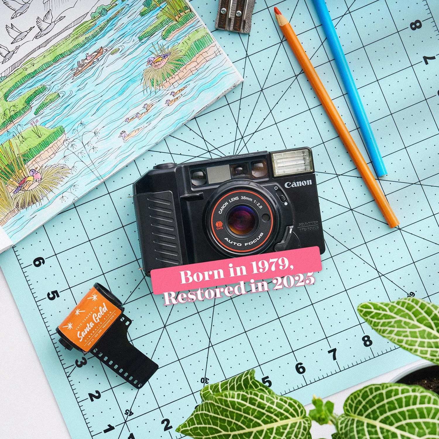 Canon AF35M II "Autoboy" | 35mm Point and Shoot Film Camera - Image 4