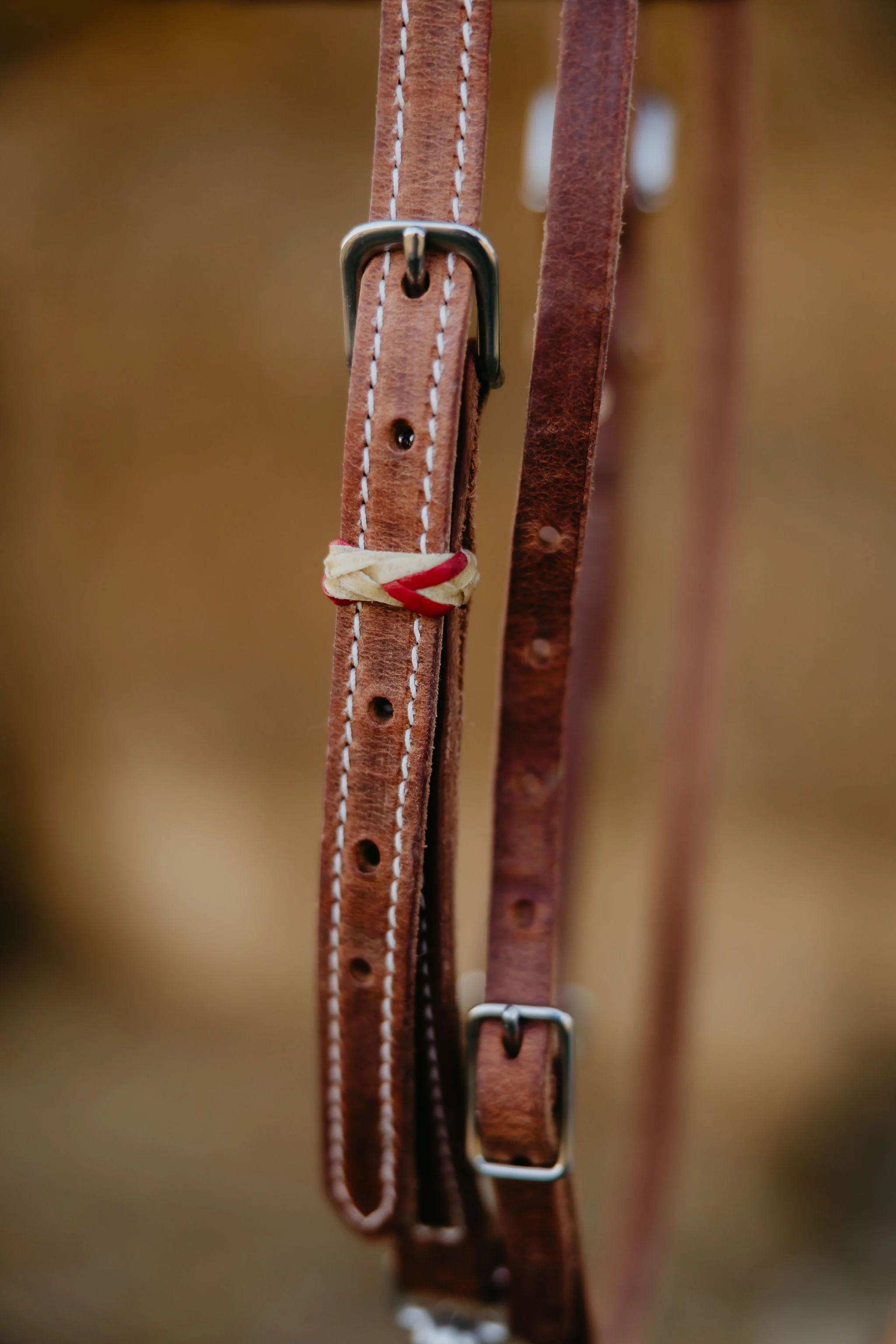 "Cardinal" Futurity Quick Change Training Browband Headstall - Image 2