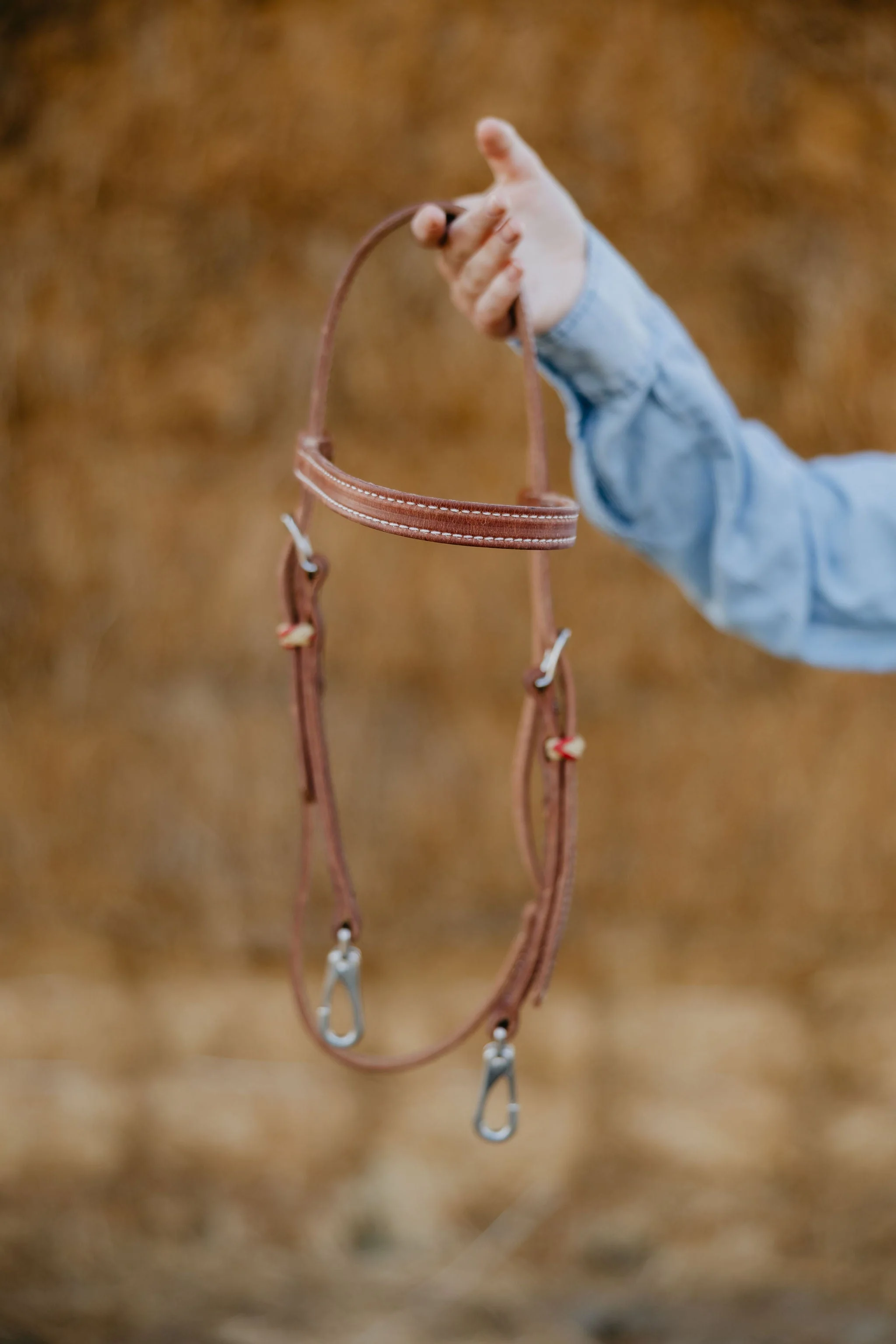 "Cardinal" Futurity Quick Change Training Browband Headstall - Image 3