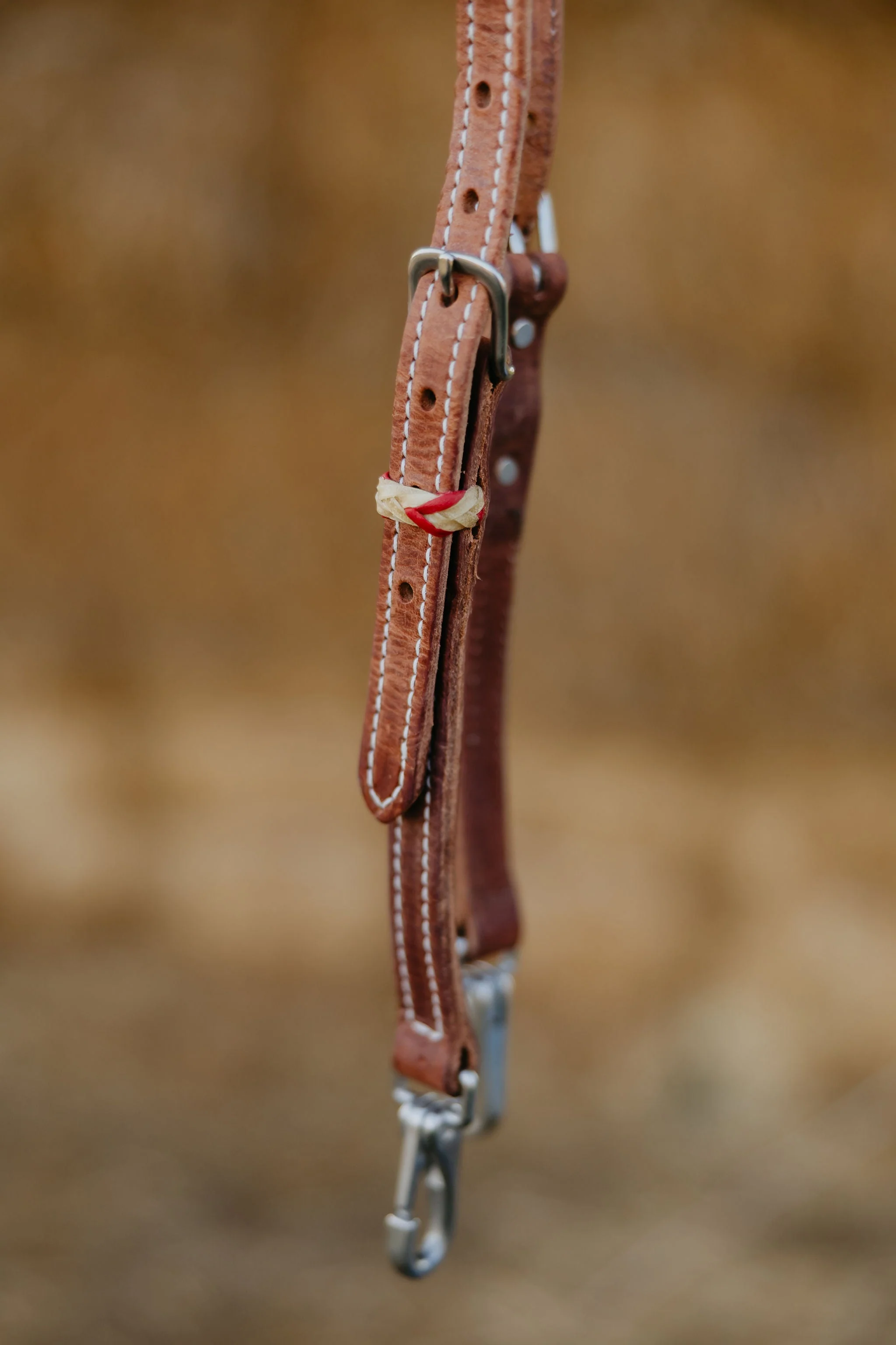 "Cardinal" Futurity Quick Change Training One Ear Headstall - Image 2