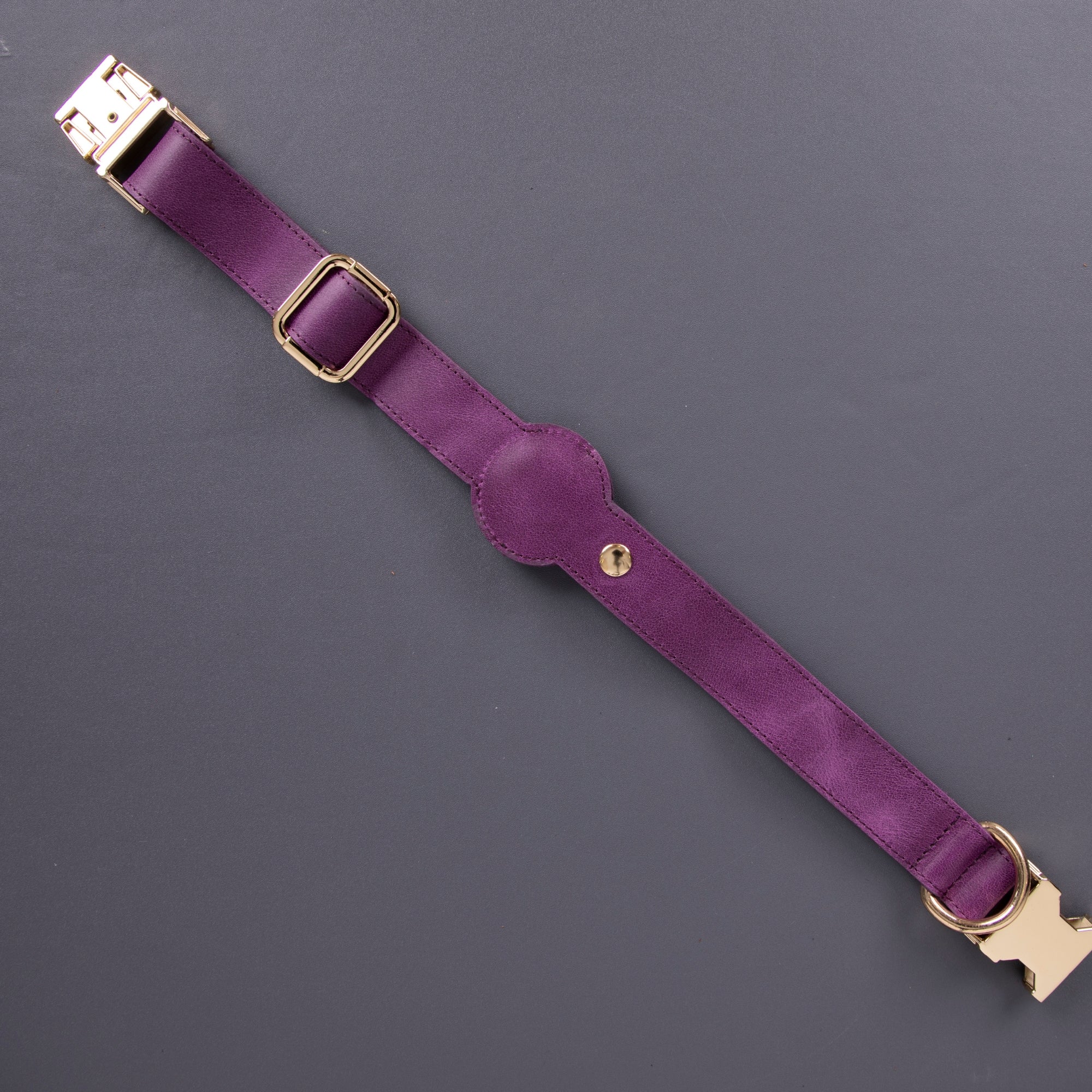 Charlotte Handcrafted Calfskin Leather Dog Collar - Compatible with AirTag - Image 16