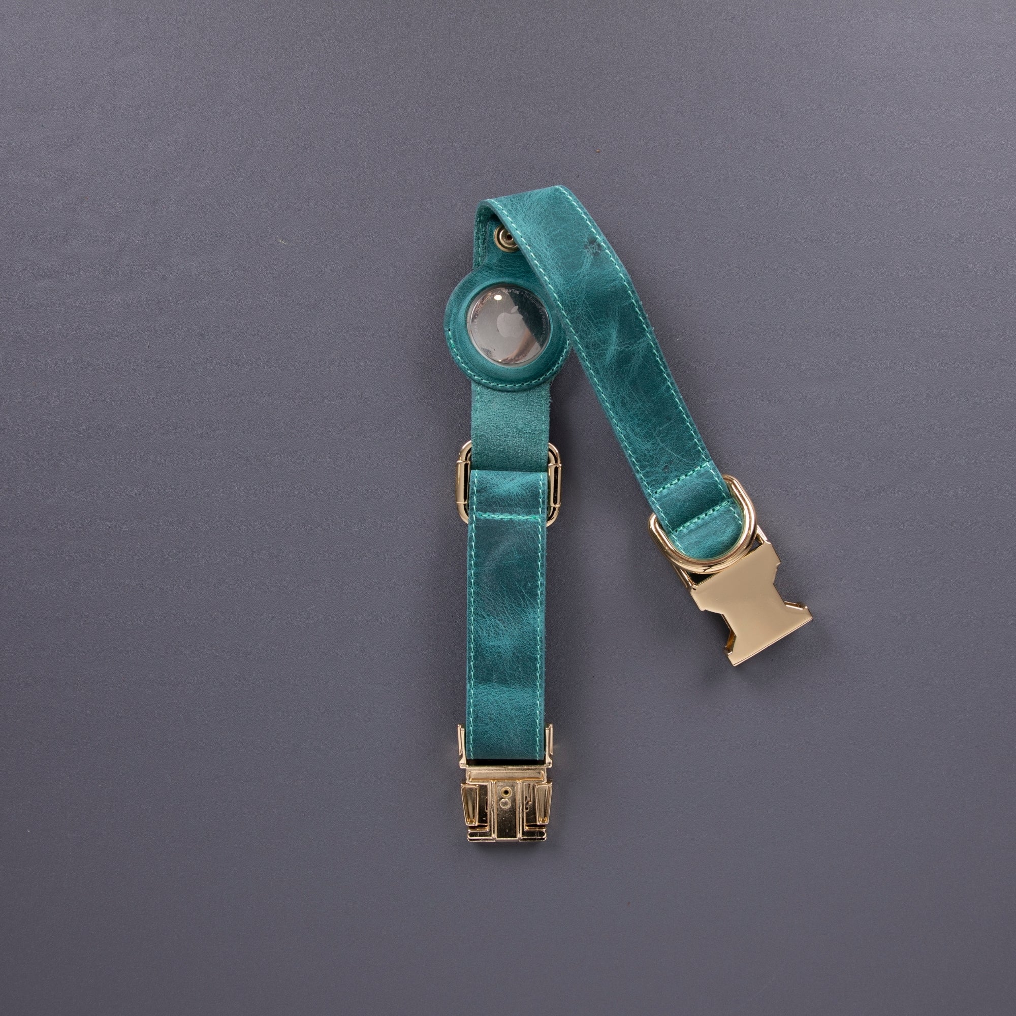 Charlotte Handcrafted Calfskin Leather Dog Collar - Compatible with AirTag - Image 28