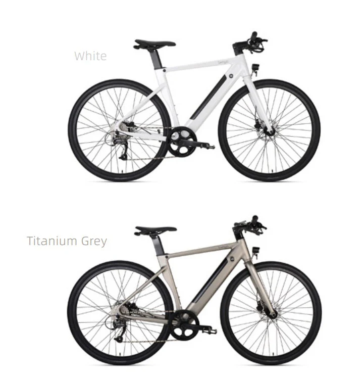 CITI AIR E BIKE - Image 2