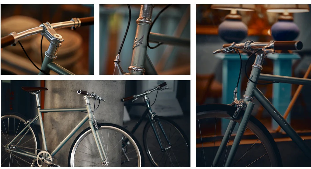 EIRA Trendy Urban Commuting Retro Steel Frame Bicycle Single-speed - Image 3