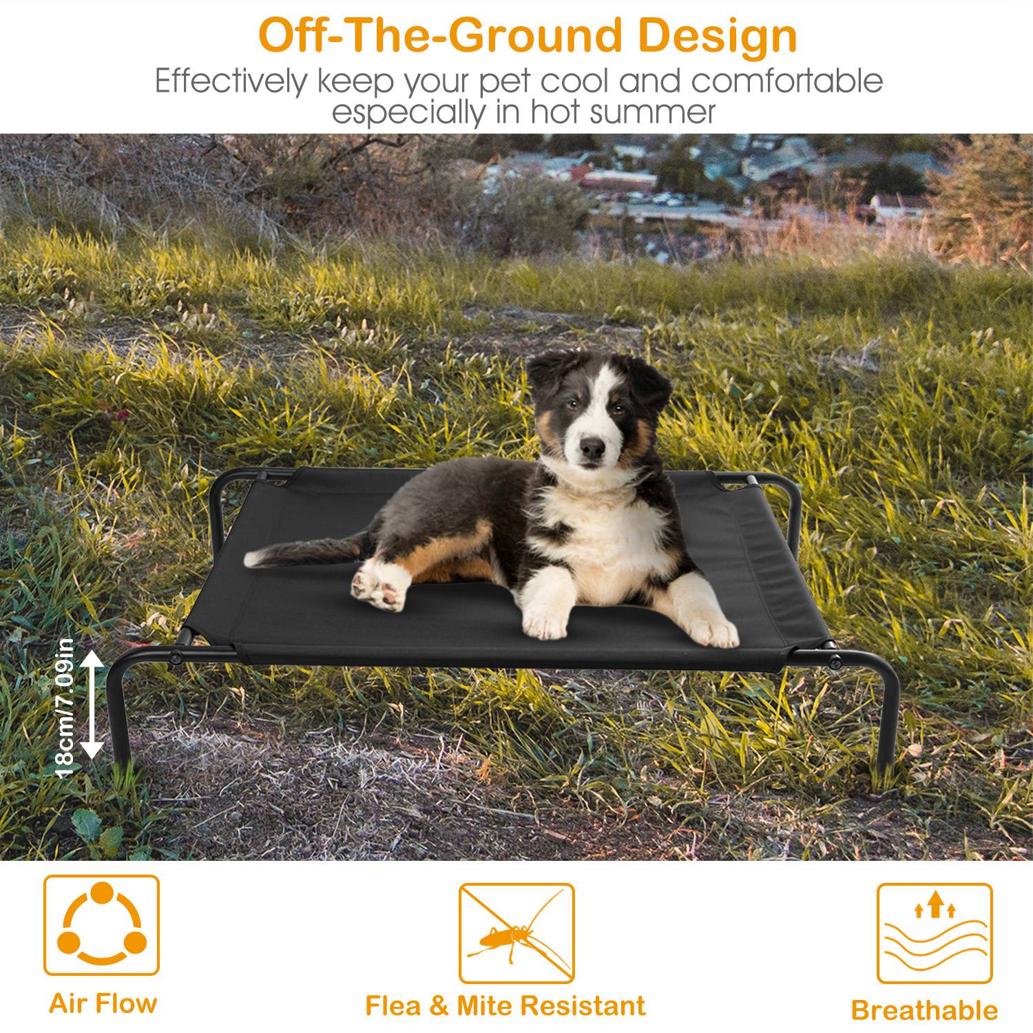 Elevated Pet Bed Dogs Cot Dogs Cats Cool Bed S/M/L Heavy-Duty Breathable Washable Indoor Outdoor Use - Image 5
