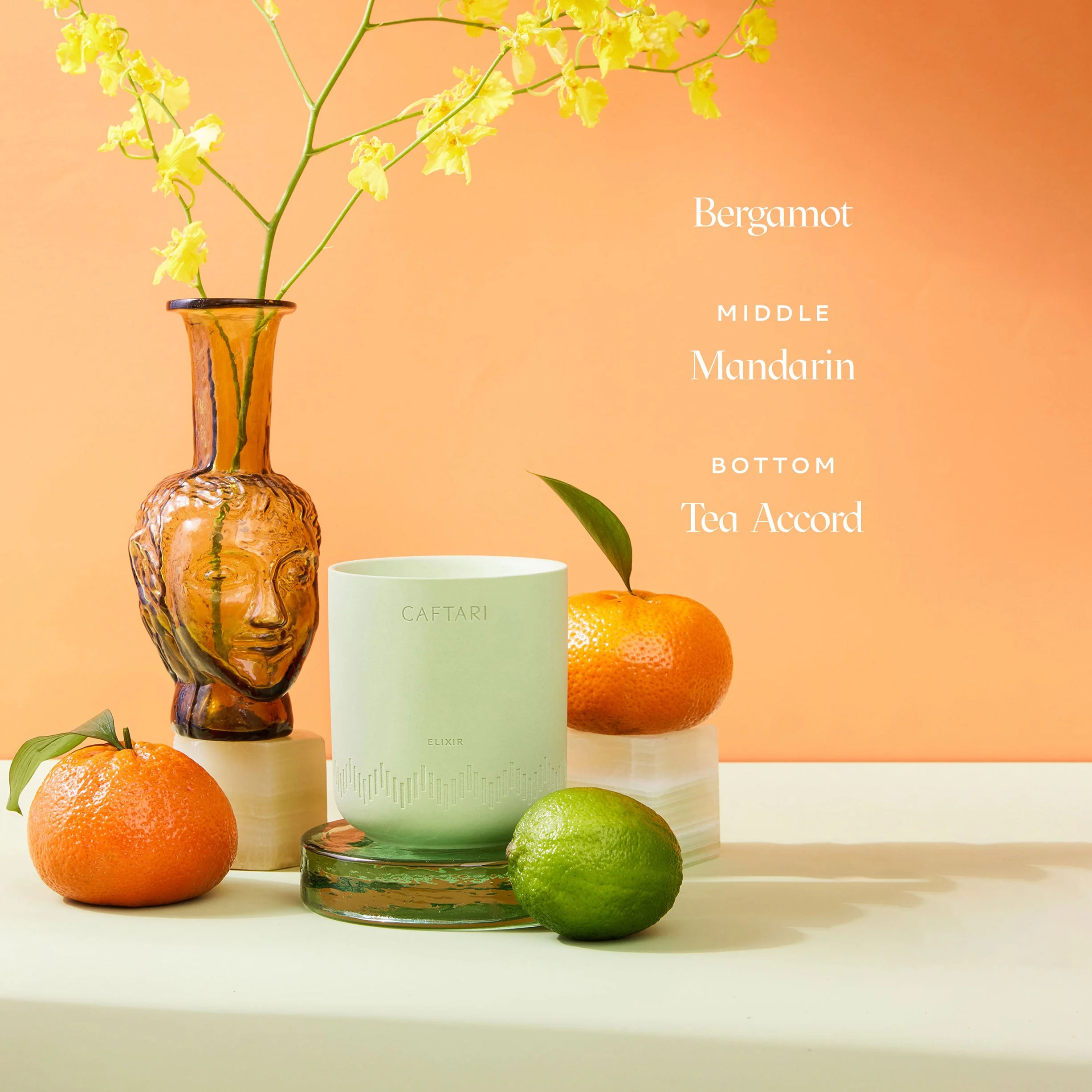 Elixir - Image 2