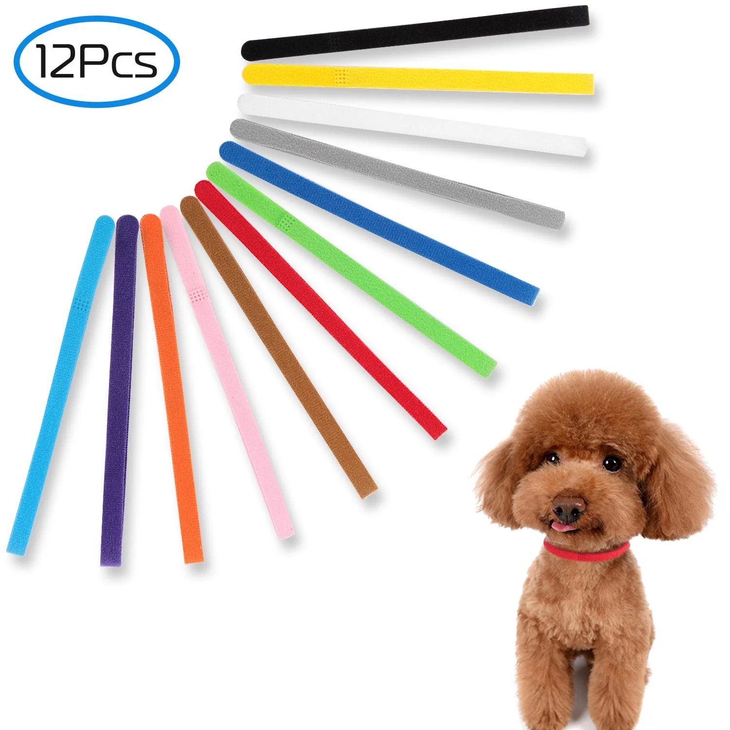 GBruno 12 Colors Whelping Puppy - Image 3