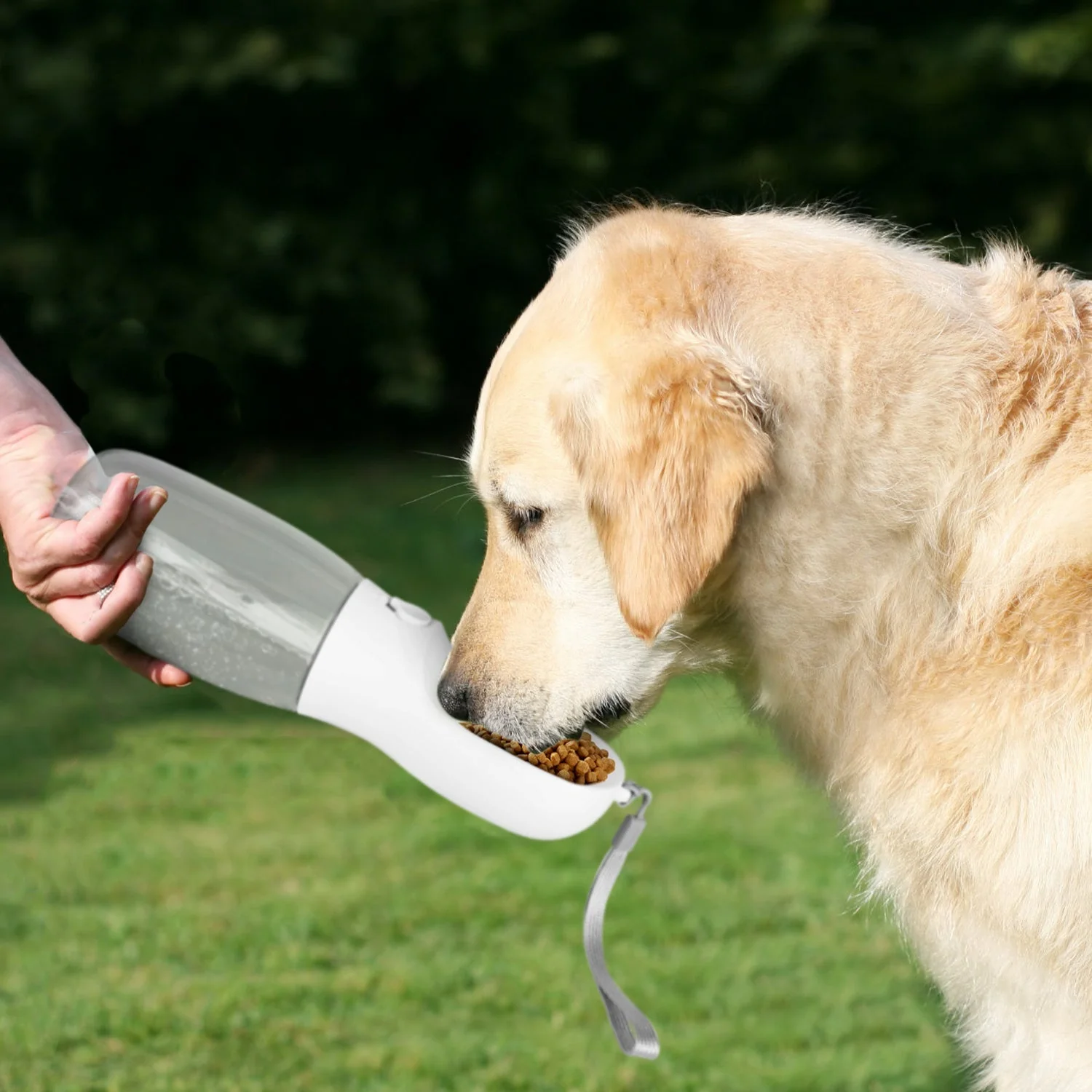 GBruno 18.6OZ Portable Dog Water Bottle - Image 2