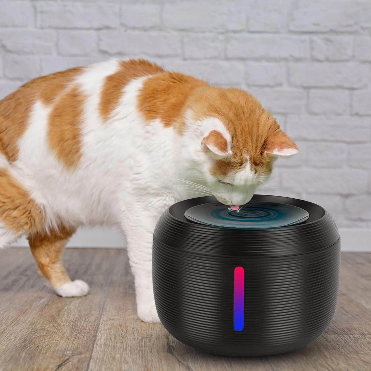 GBruno 2.5L 84.54OZ Pet Water Fountain - Image 6