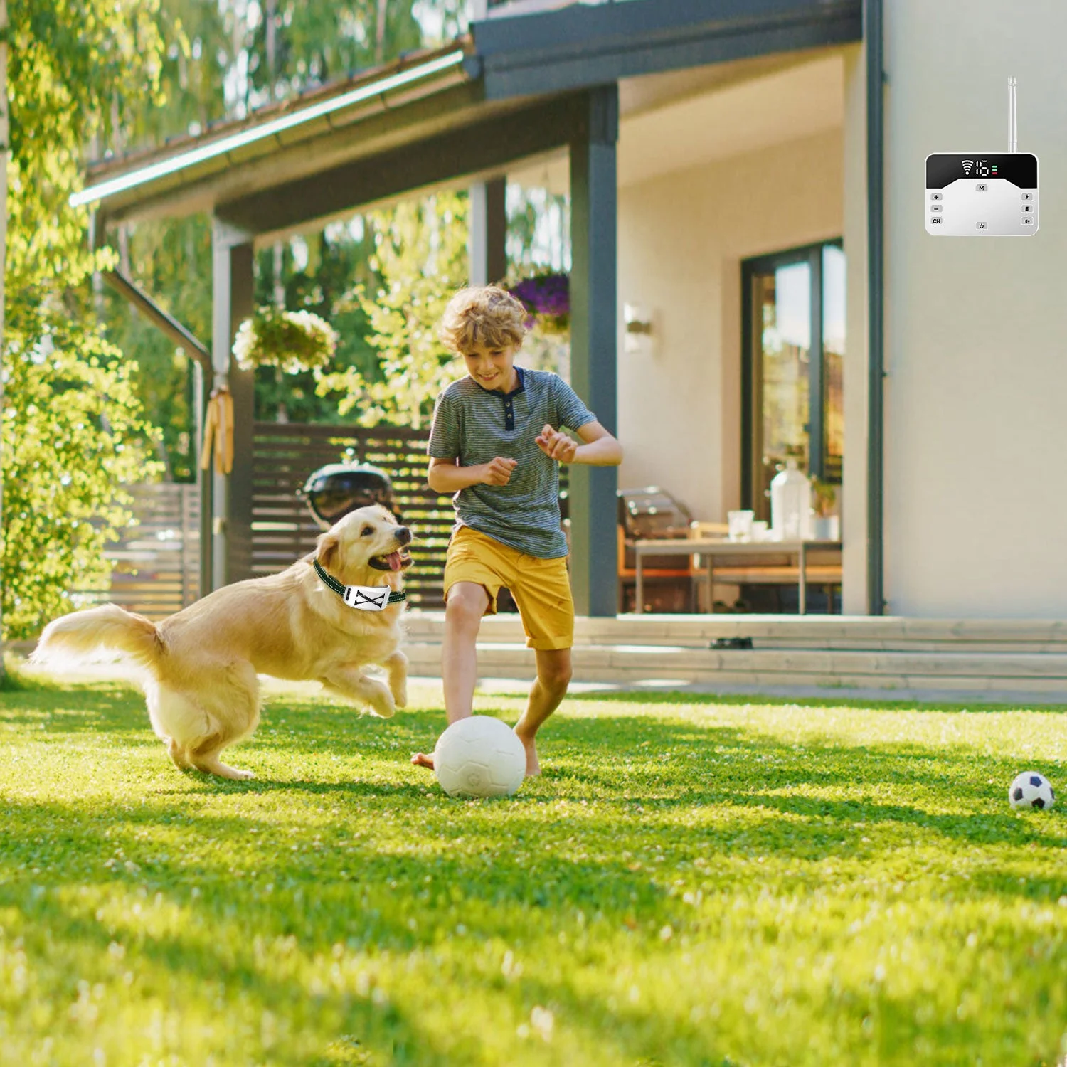 GBruno 2 In 1 Wireless Electric Dog Fence - Image 5