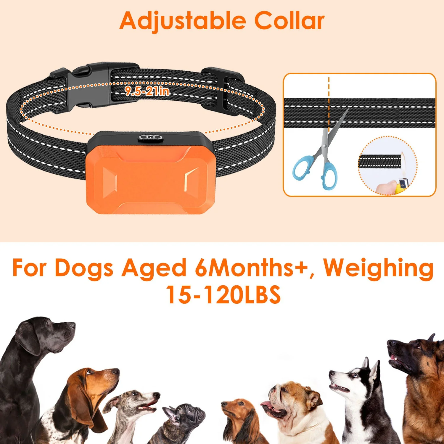 GBruno 2 In 1 Wireless Electric Dog Fence - Image 5
