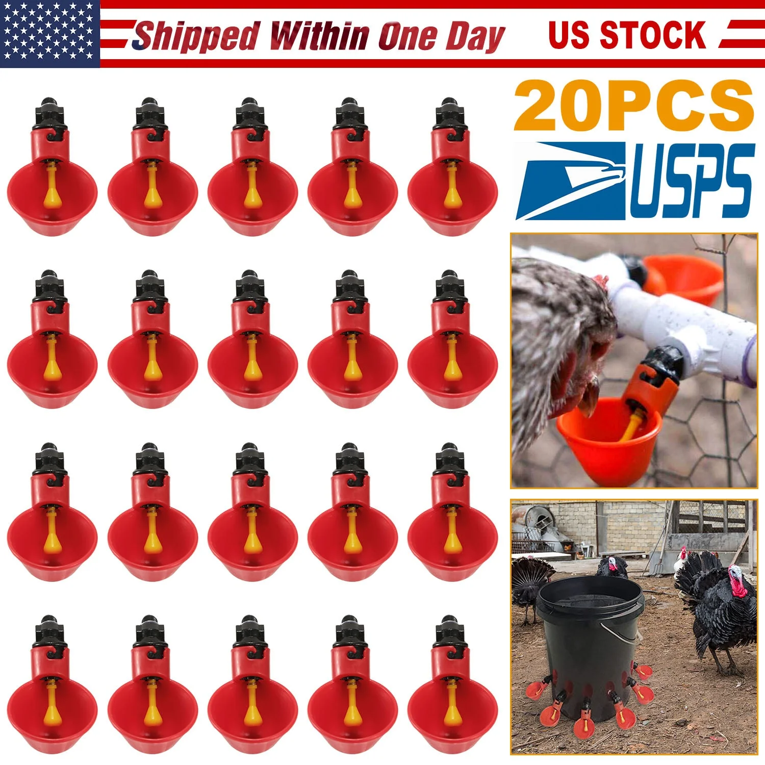 GBruno 20 Pack Chicken Waterer - Image 3