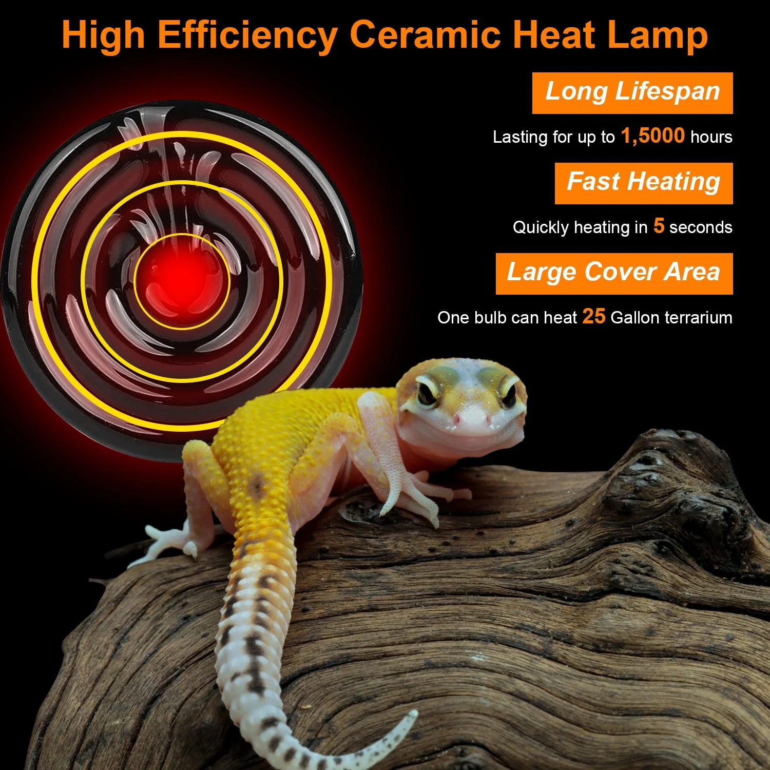 GBruno 2Pcs Ceramic Heat Lamp - Image 6