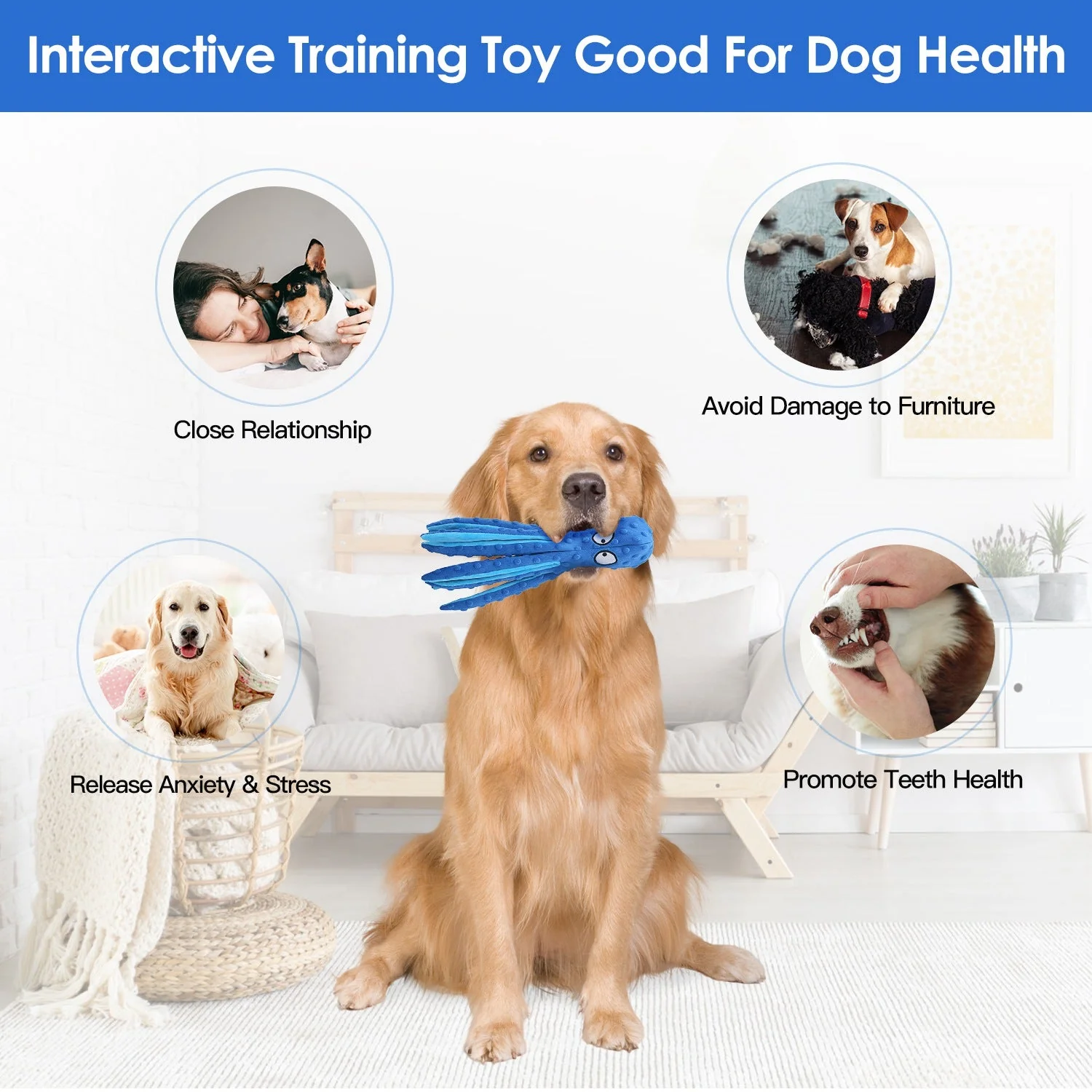 GBruno 2Pcs Squeaky Dog Toys - Image 3