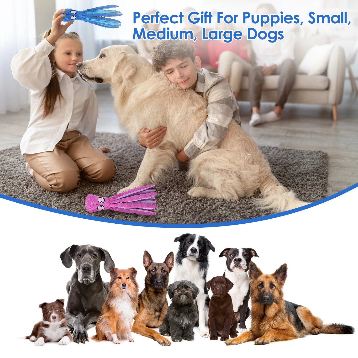 GBruno 2Pcs Squeaky Dog Toys - Image 5
