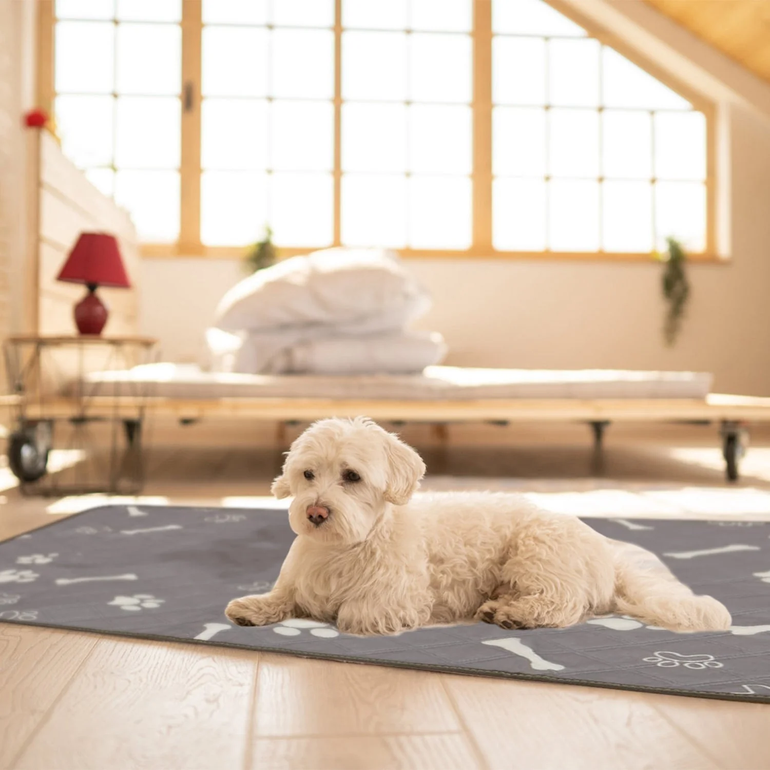 GBruno 2Pcs Washable Pet Pee Pads - Image 3