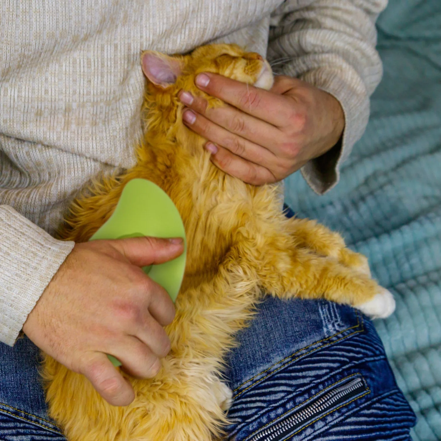GBruno 3 In 1 Cat Grooming Steam Brush - Image 6