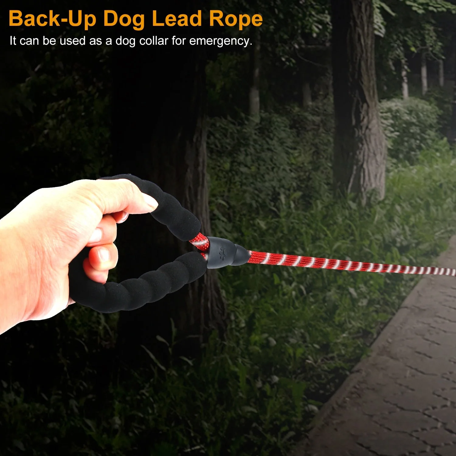 GBruno 5FT Dog Leash Dog Training Walking - Image 5