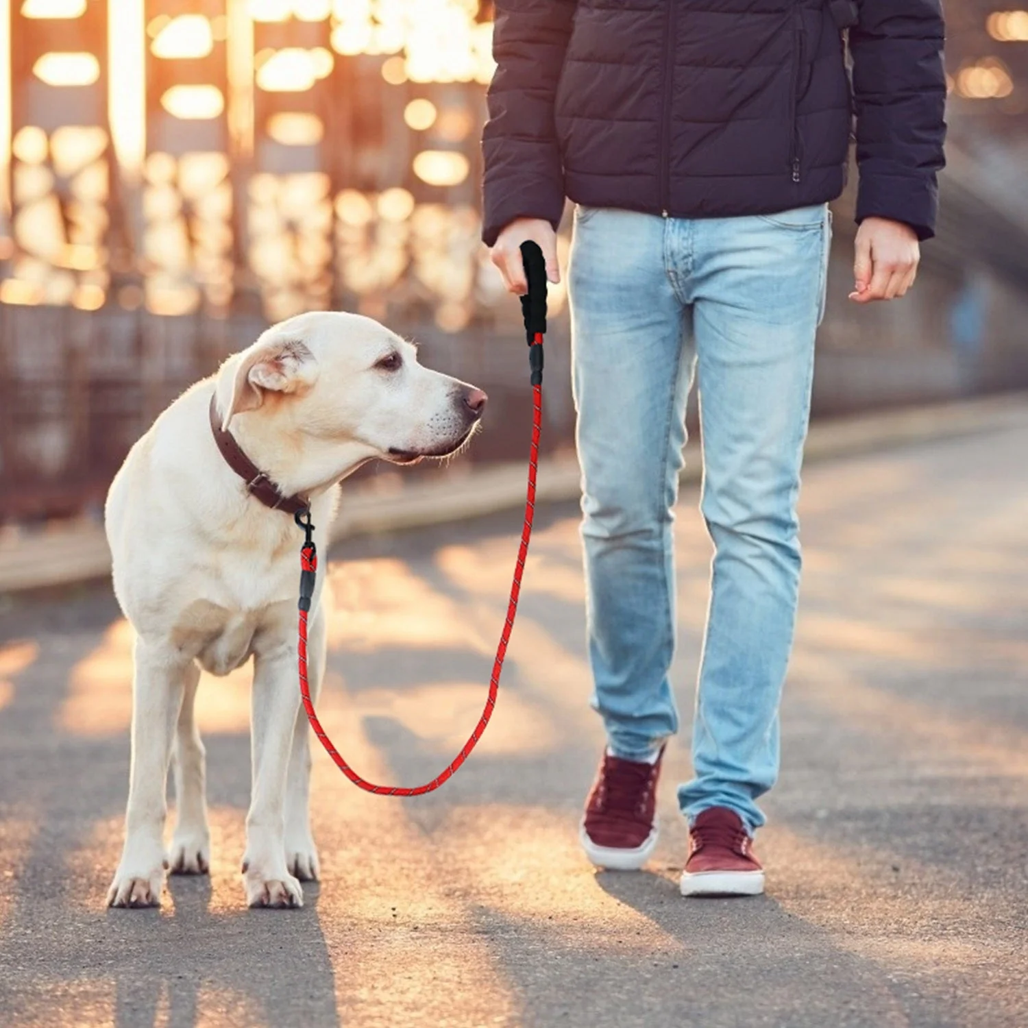 GBruno 5FT Dog Leash Dog Training Walking - Image 8