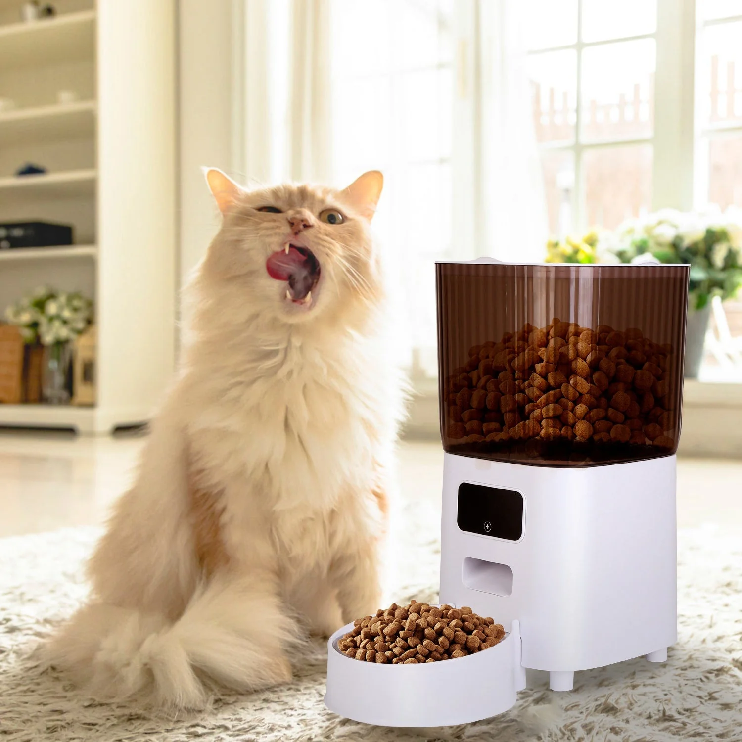 GBruno 5L Automatic Pet Feeder - Image 6