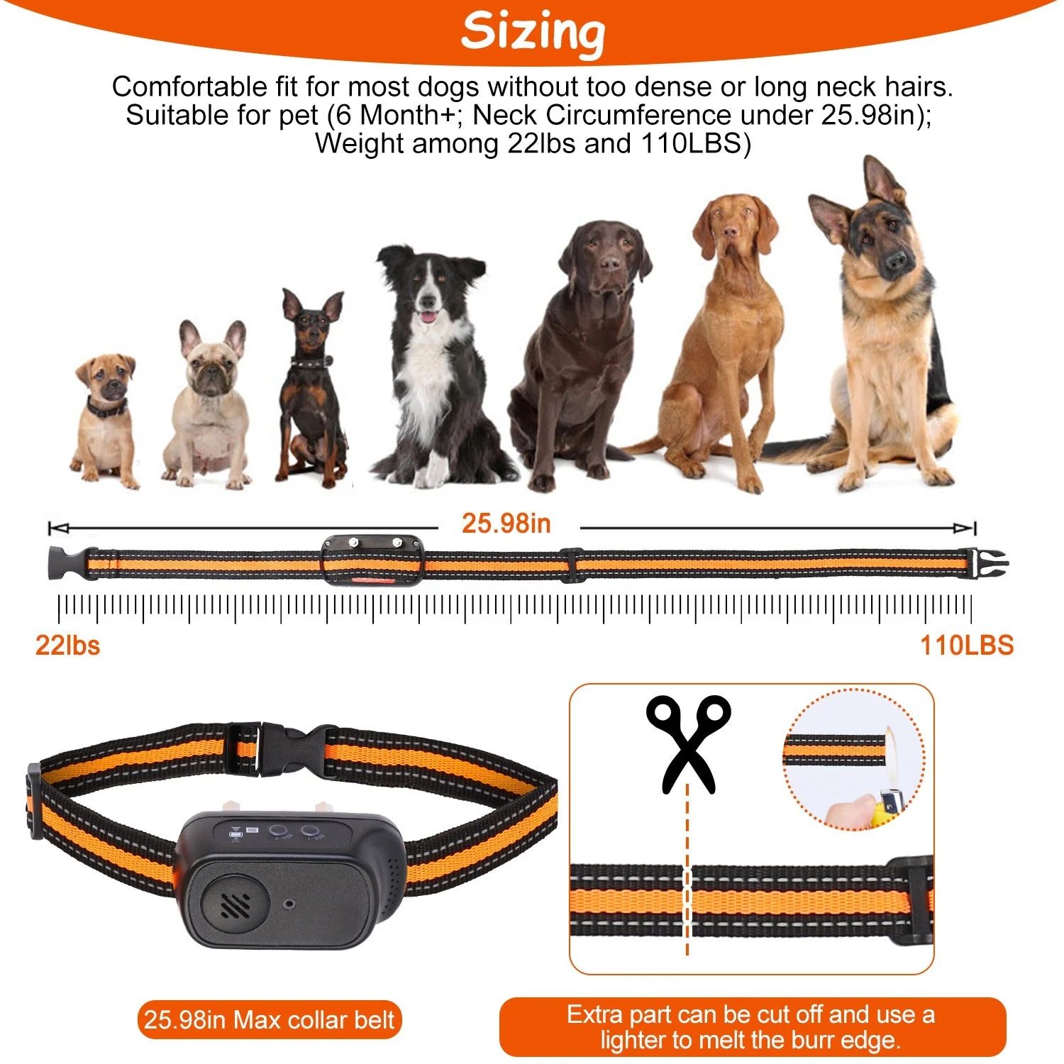 GBruno 984FT Dog Training Collar - Image 7