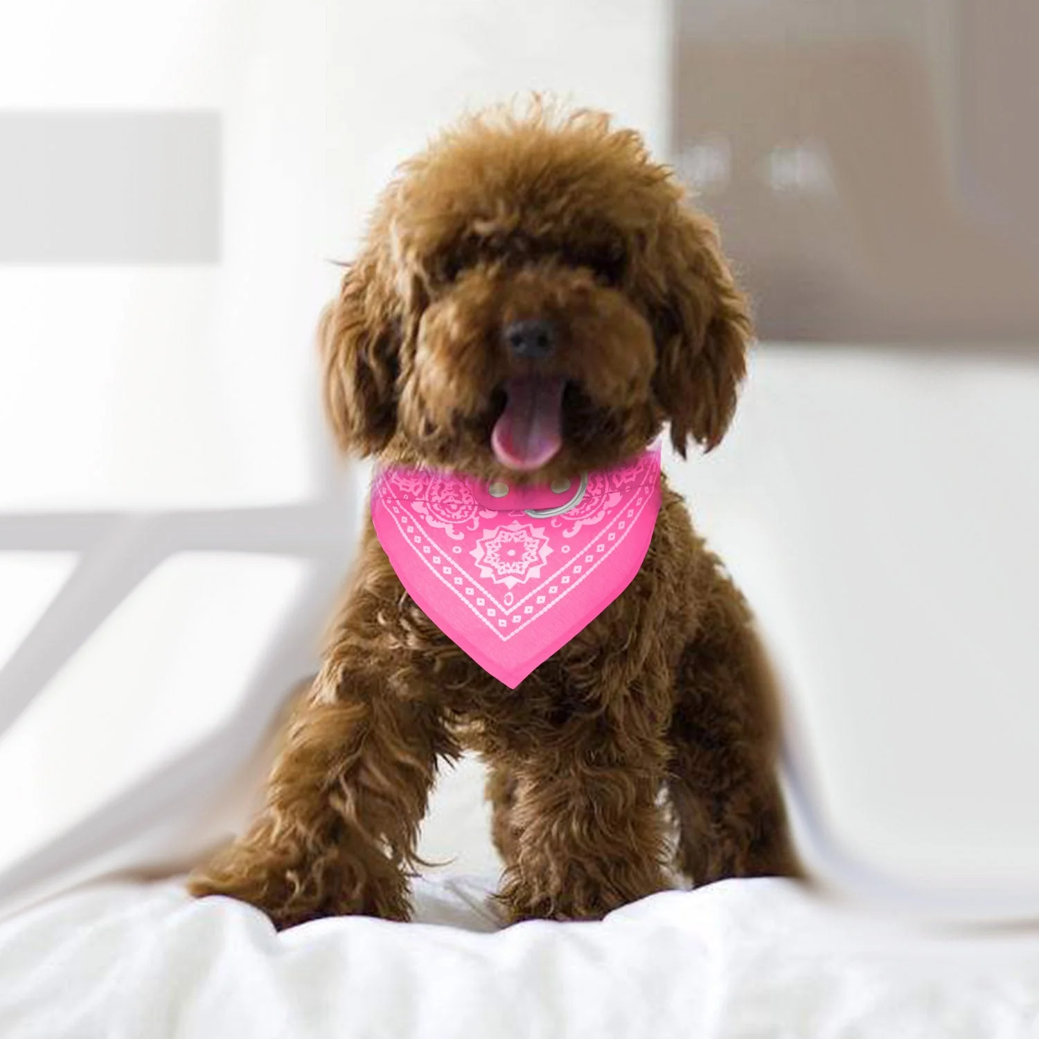 GBruno Adjustable Bandana - Image 4