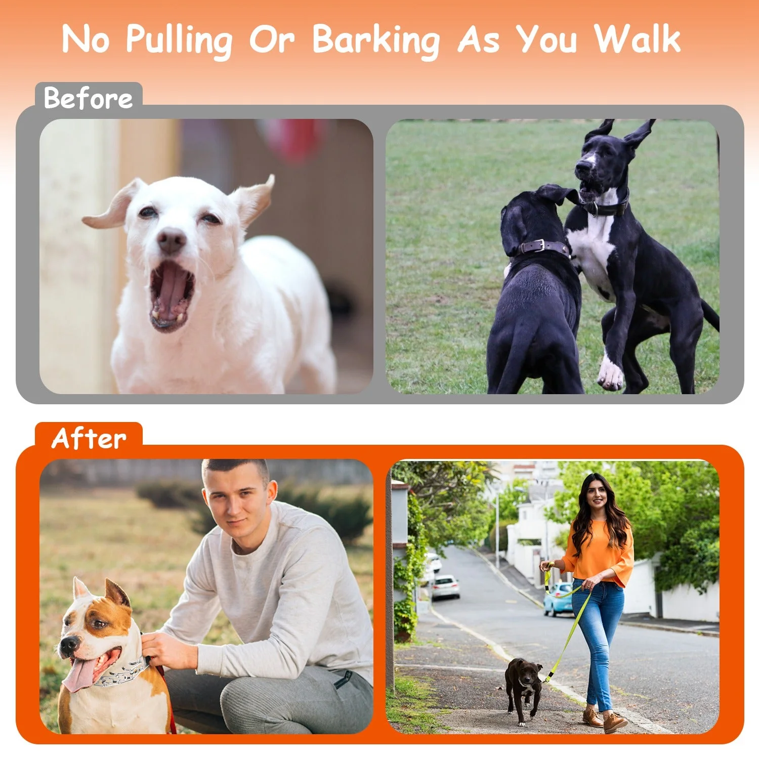 GBruno  Adjustable Dog Choke Collar - Image 3