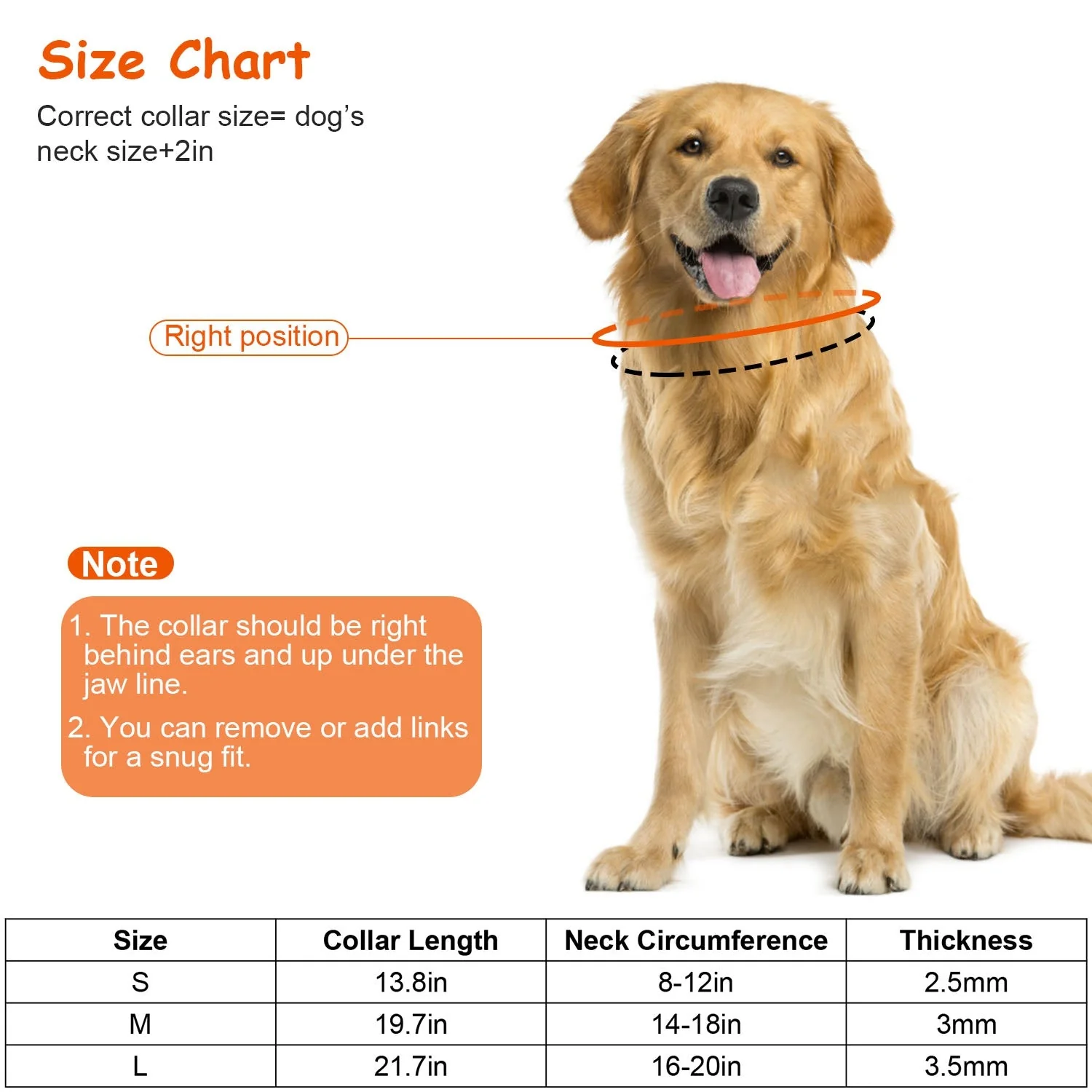 GBruno  Adjustable Dog Choke Collar - Image 6