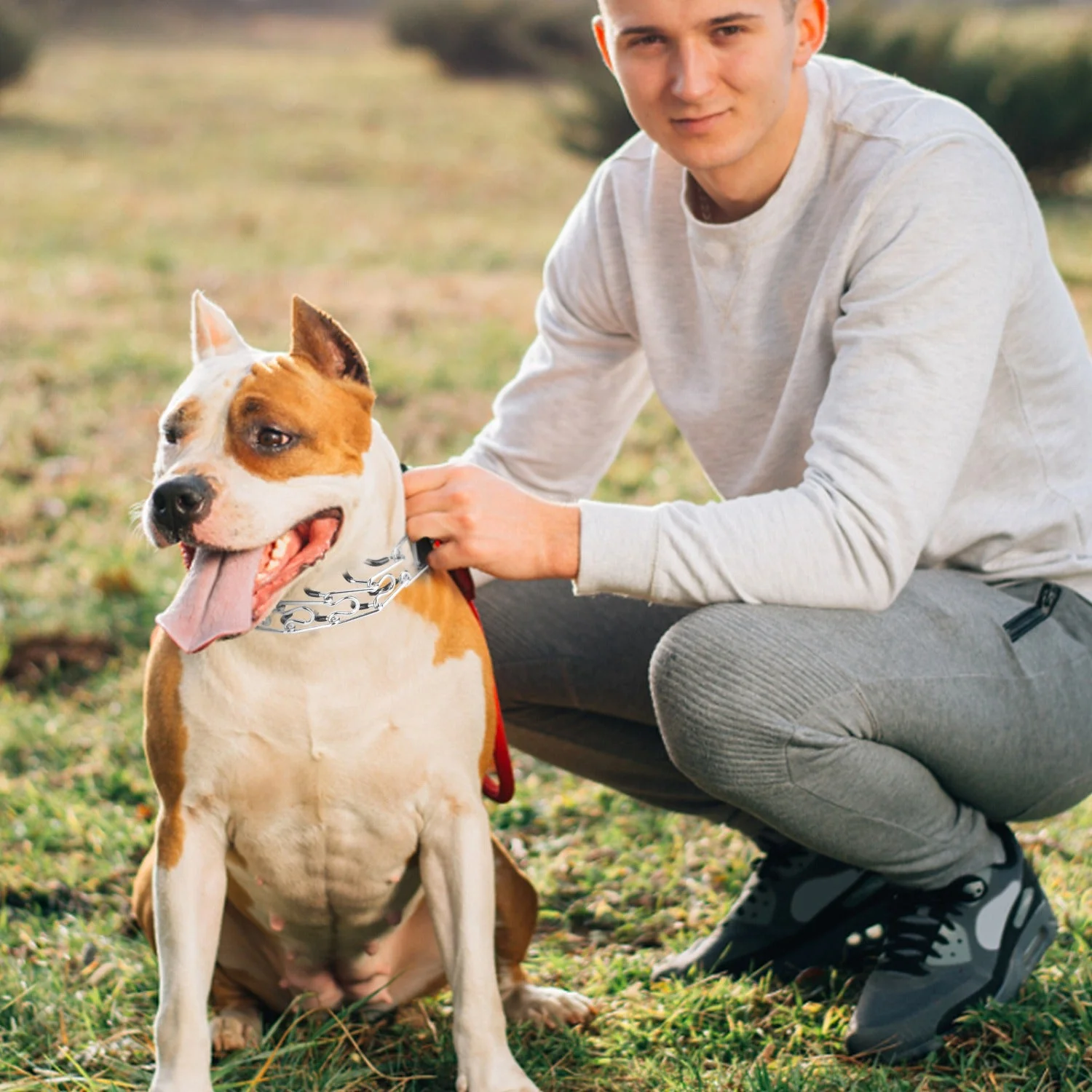 GBruno  Adjustable Dog Choke Collar - Image 7