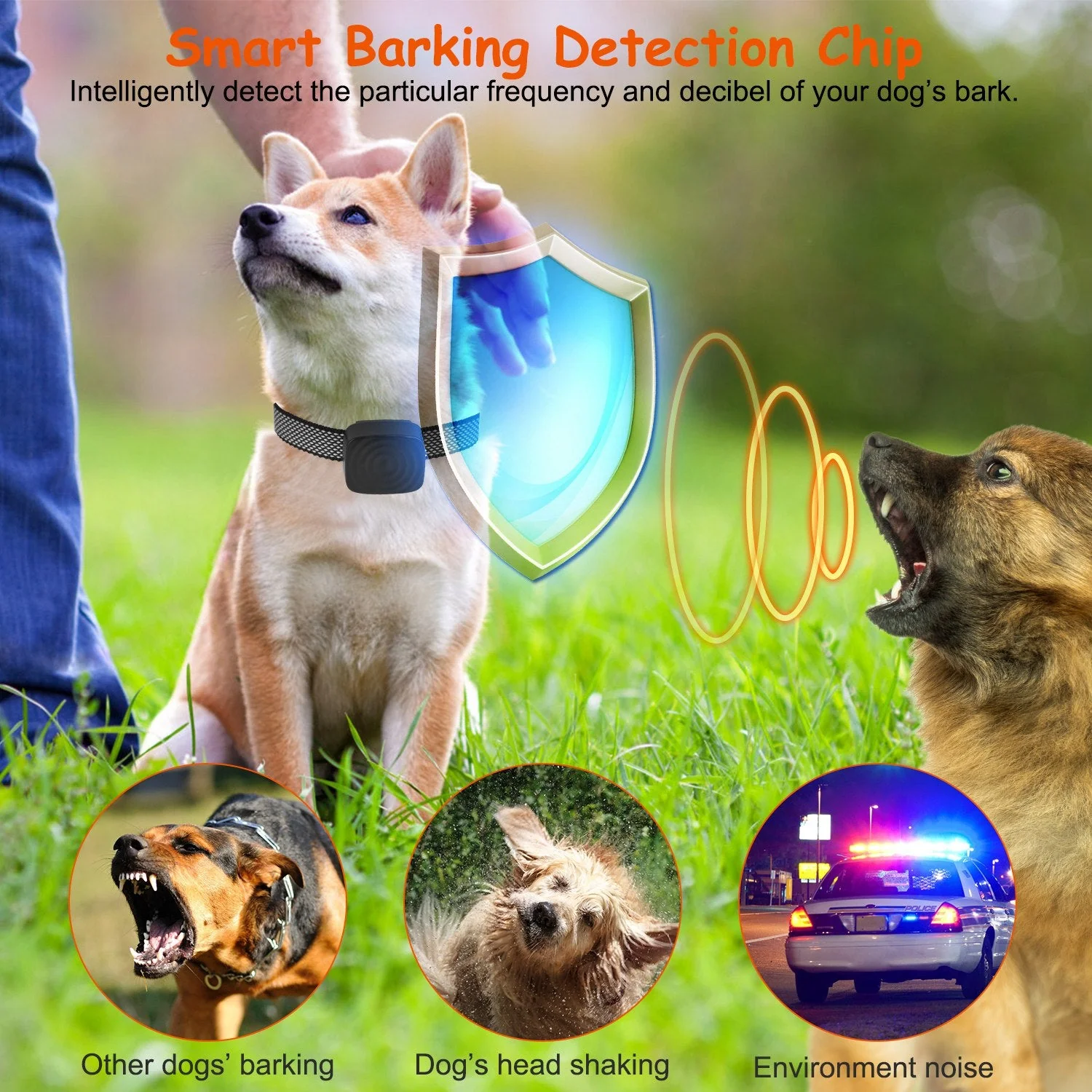 GBruno Anti Bark Dog Collar - Image 4