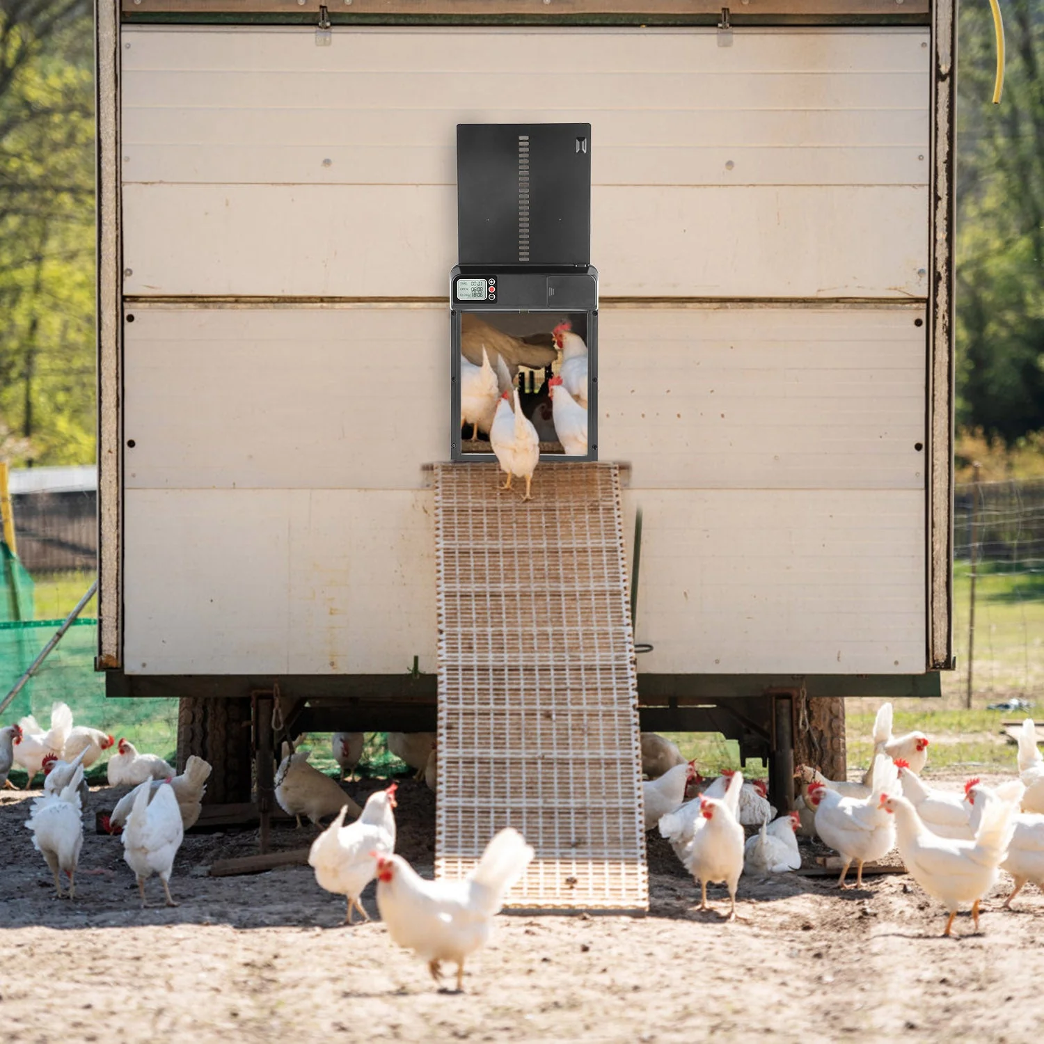 GBruno Automatic Chicken Coop Door - Image 6