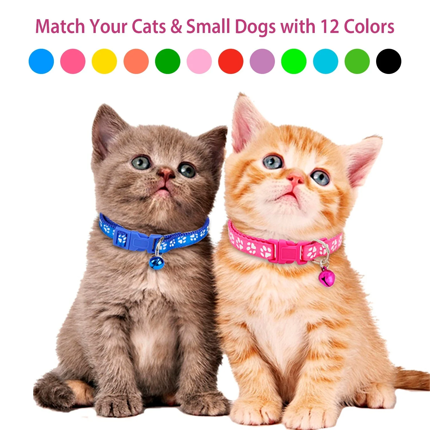 GBruno Cat Adjustable Collar - Image 7