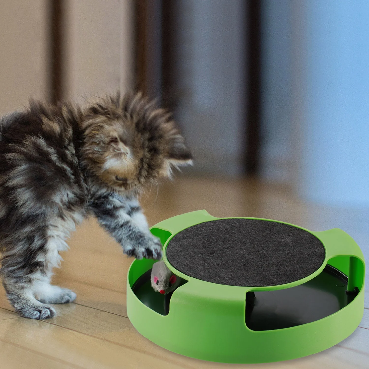 GBruno Cat Interactive Scratching Toy - Image 6