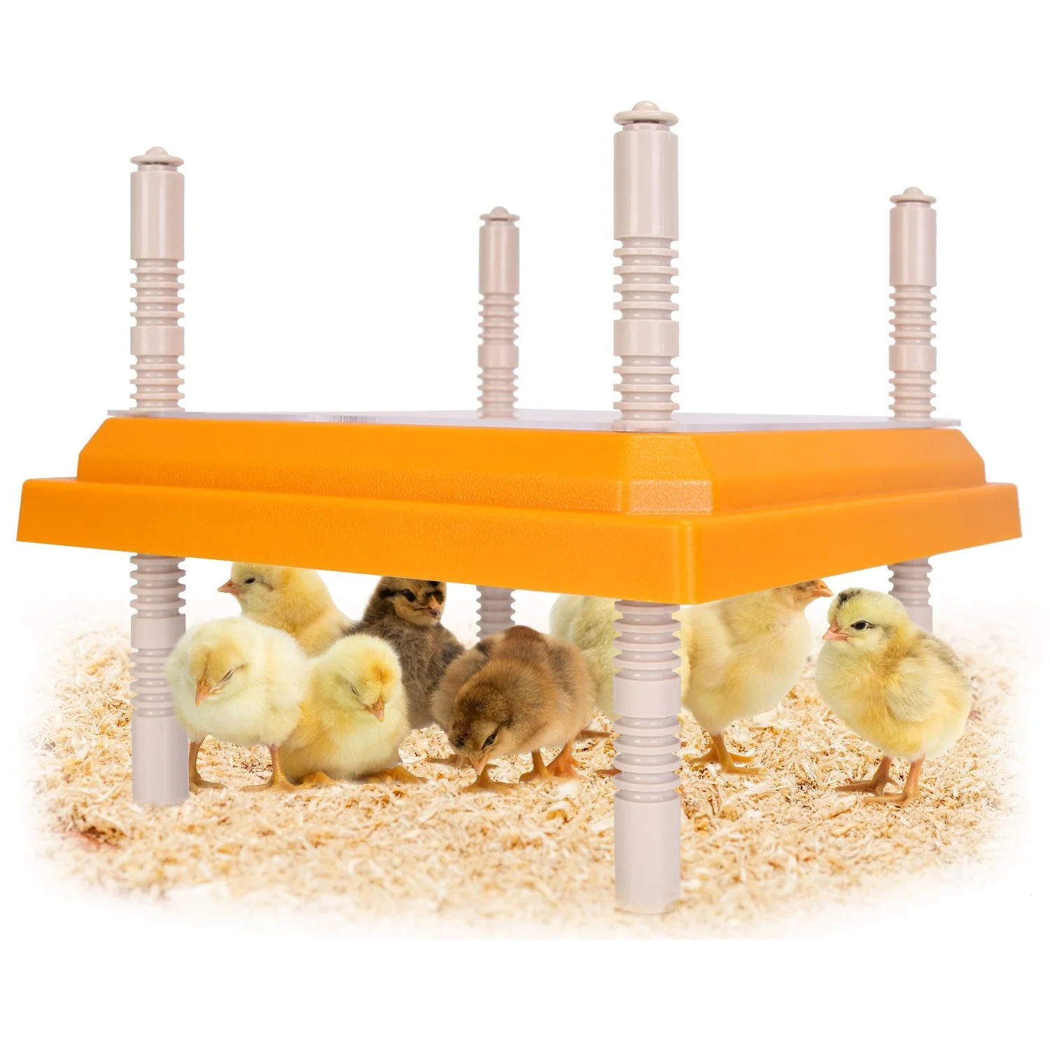 GBruno Chick Brooder Heating Plate - Image 3