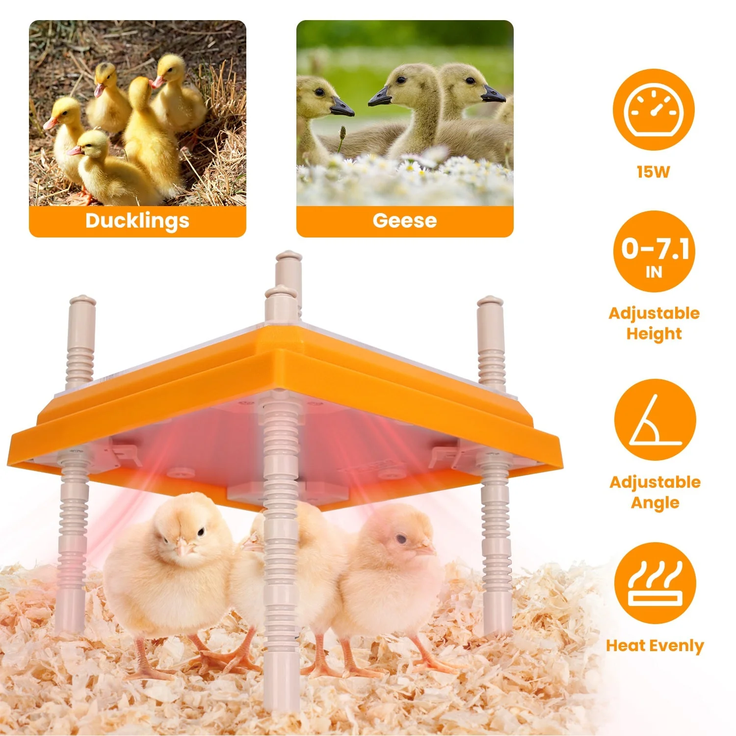 GBruno Chick Brooder Heating Plate - Image 5