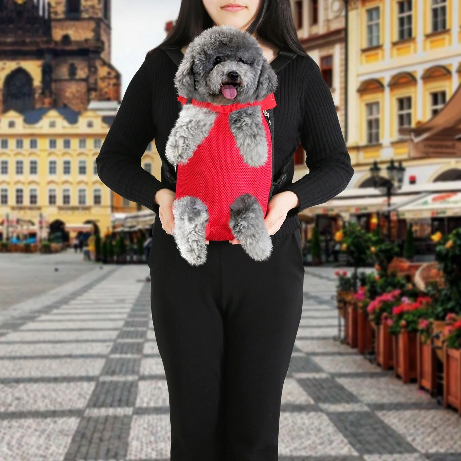 GBruno Dog Carrier Backpack - Image 5