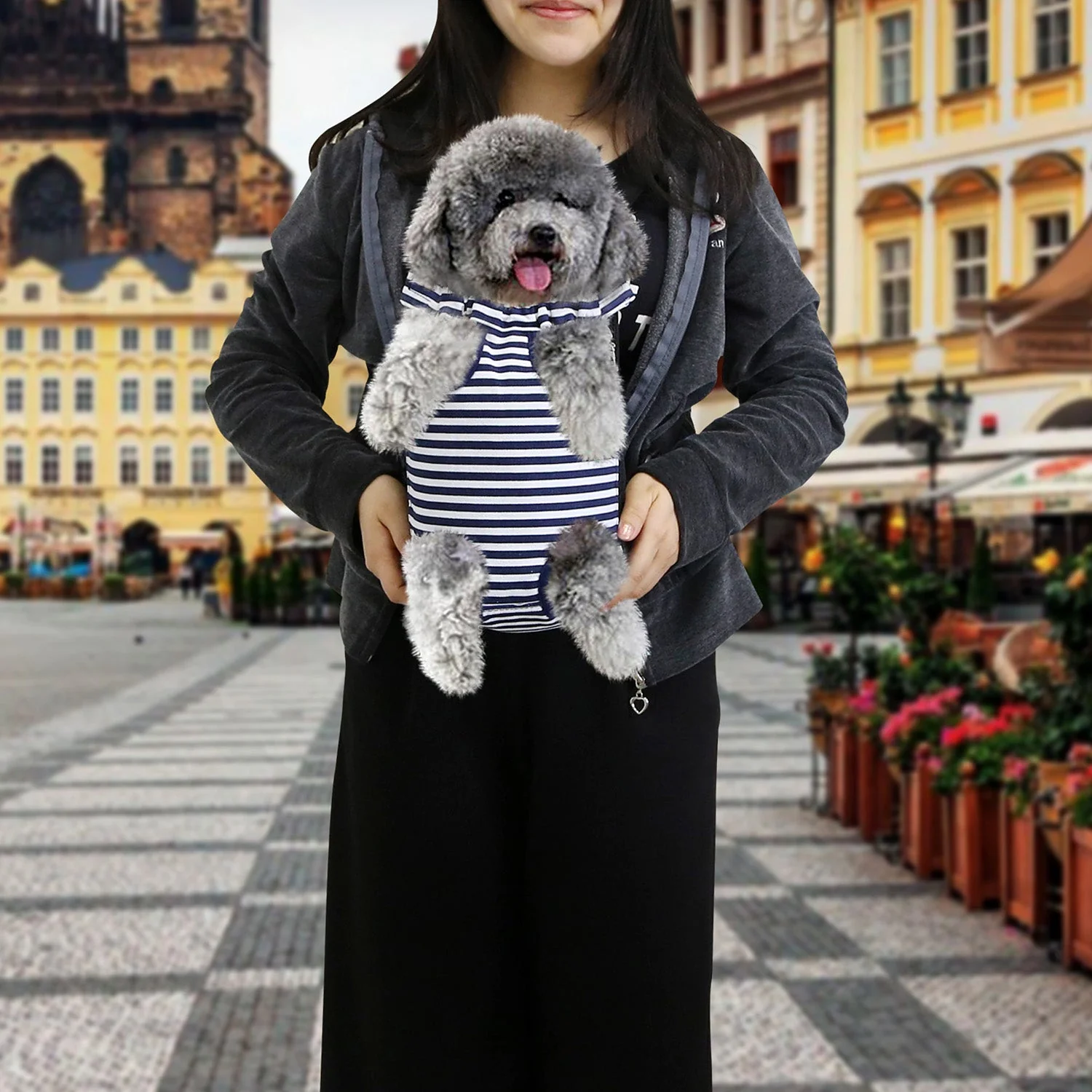GBruno Dog Carrier Backpack - Image 5