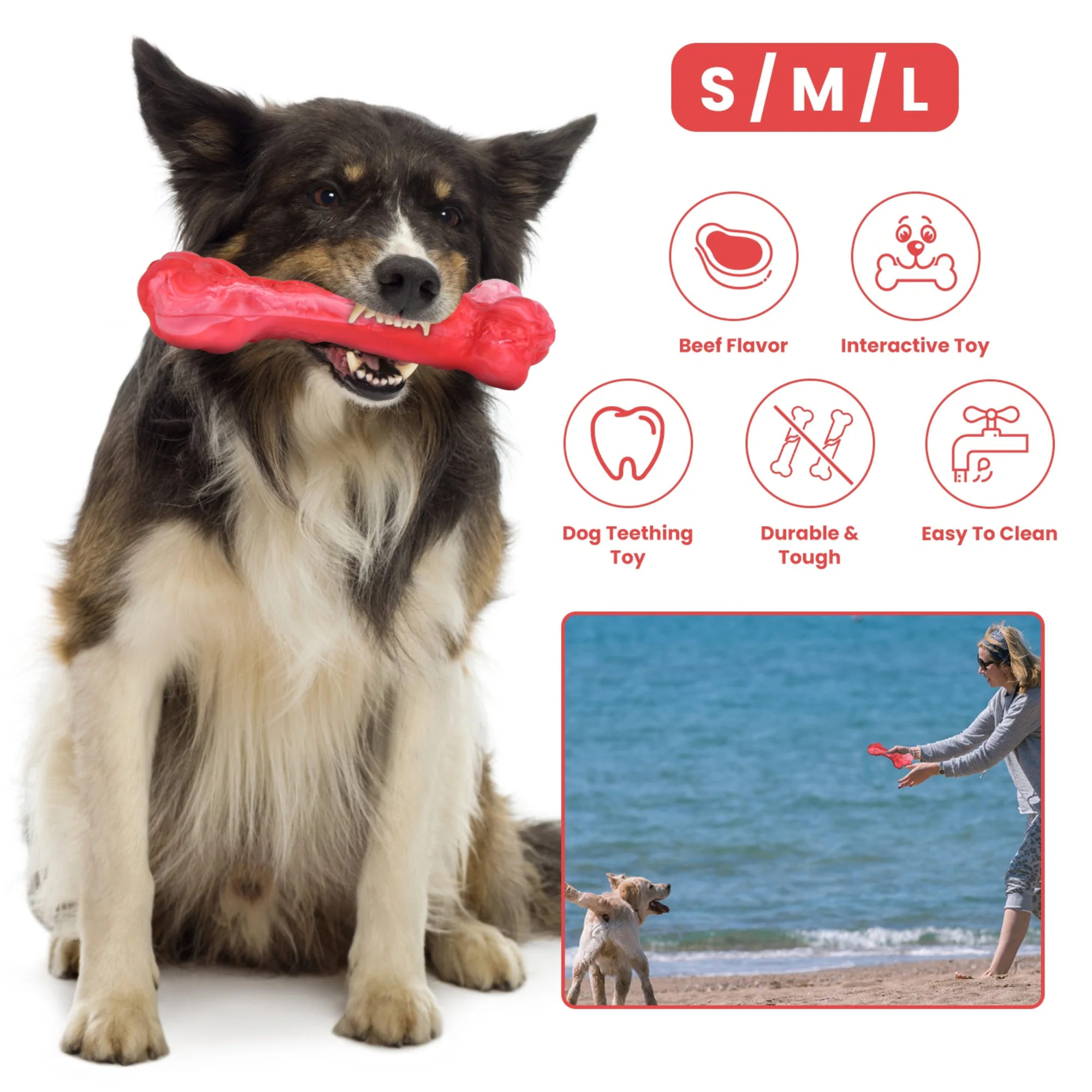 GBruno Dog Chew Toy - Image 2