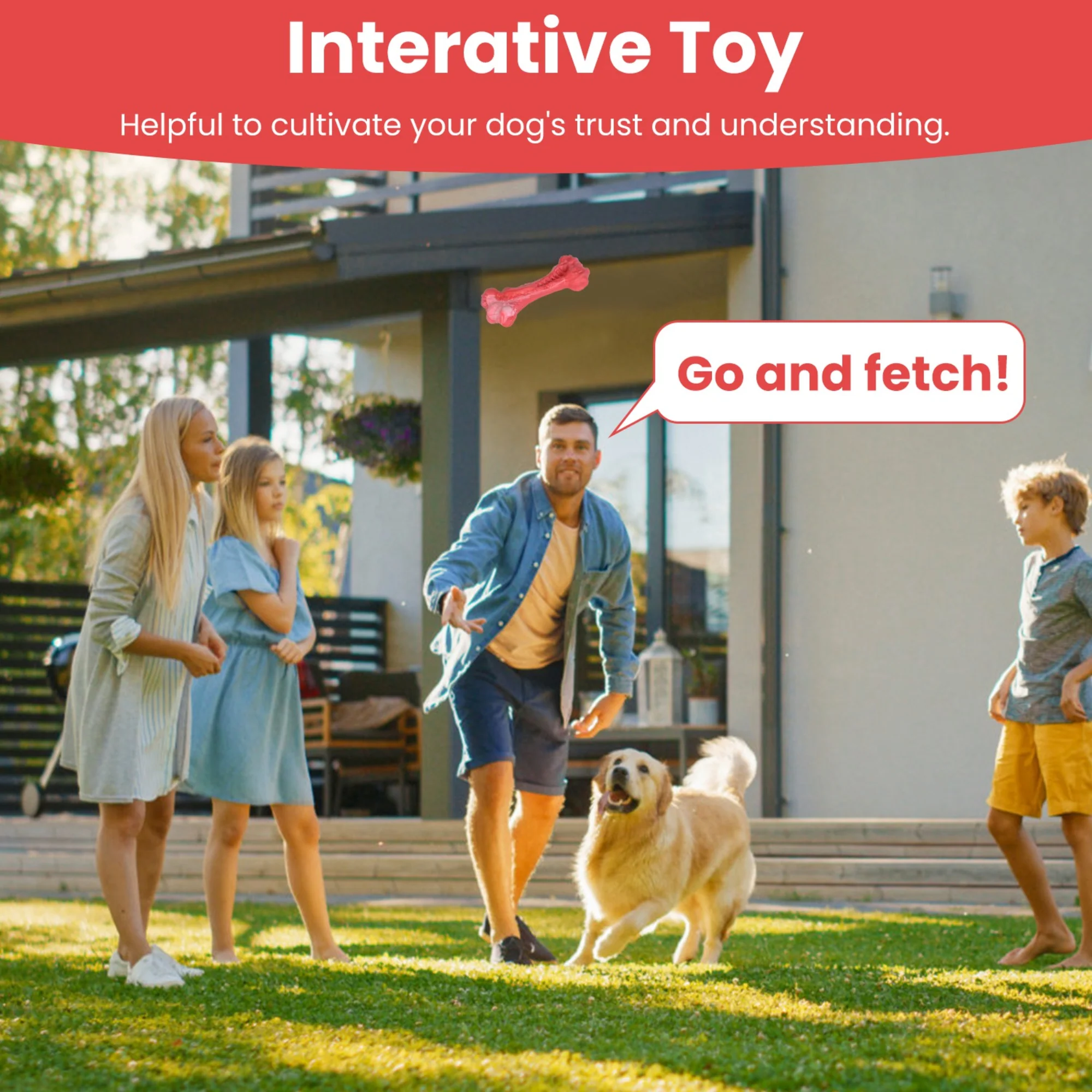 GBruno Dog Chew Toy - Image 4