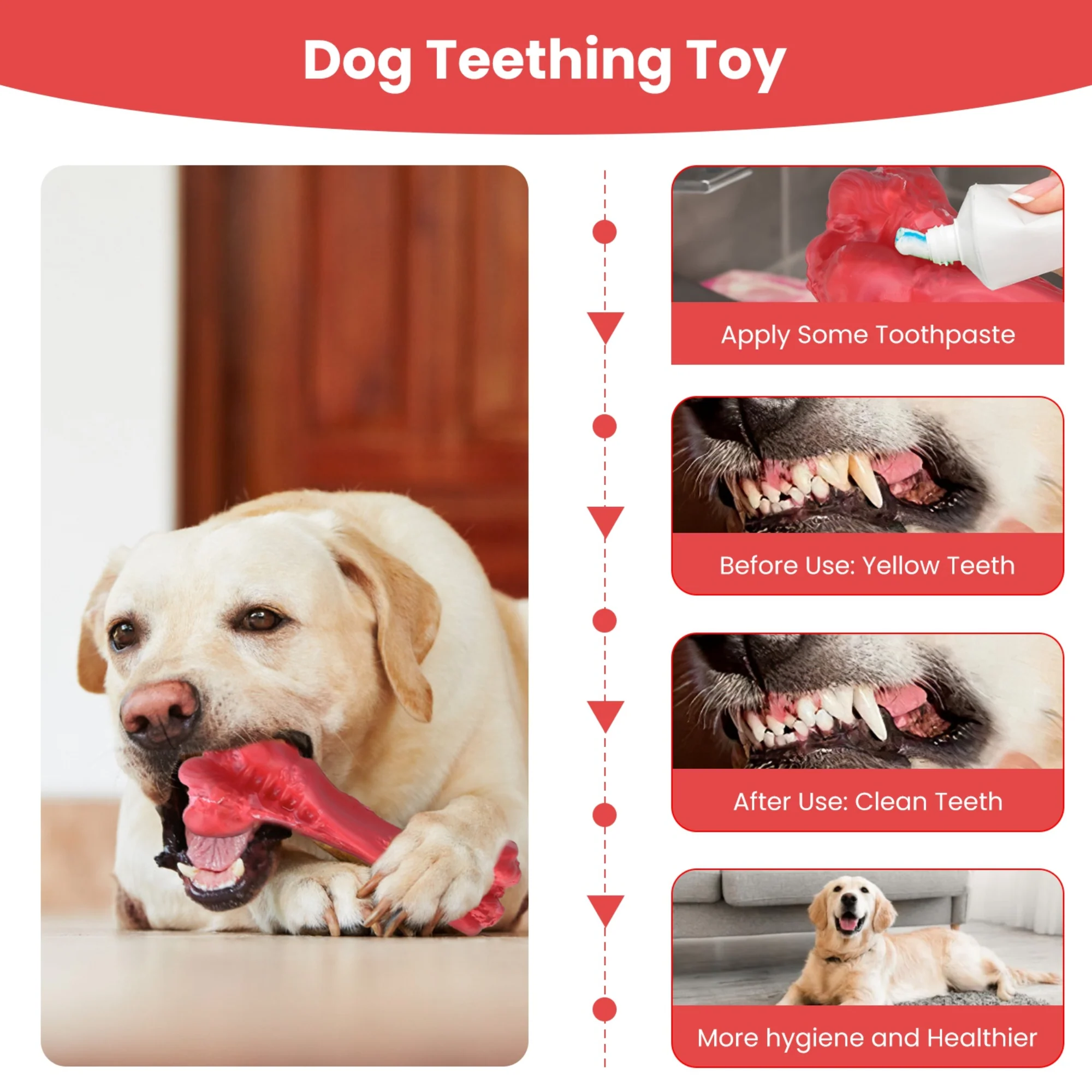 GBruno Dog Chew Toy - Image 5
